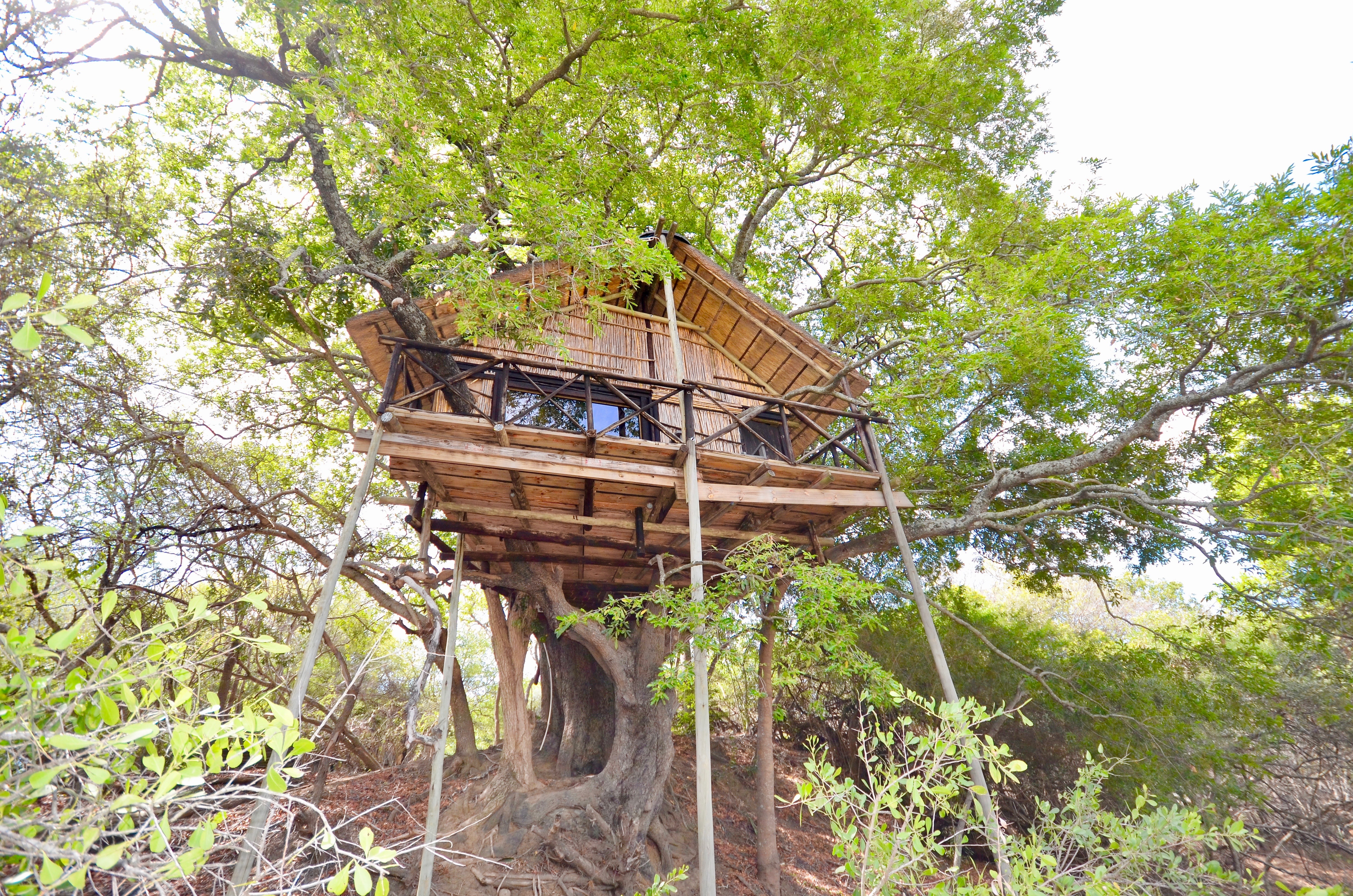 Kruger National Park: 3-Day Safari Tour and Treehouse Stay – Kruger National Park, South Africa