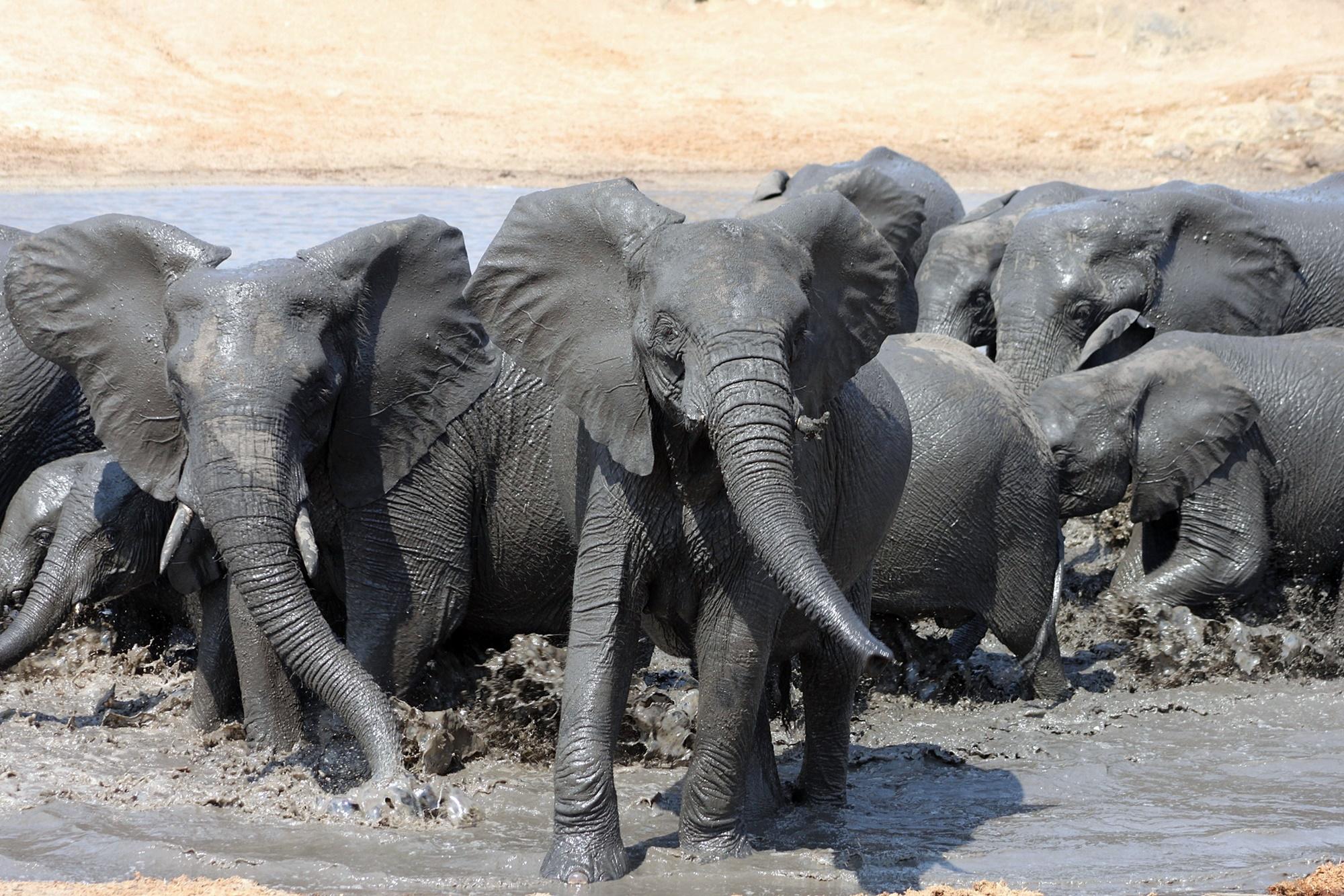 Kruger National Park: 3 Day Safari Tour – Pilgrim’s Rest, South Africa