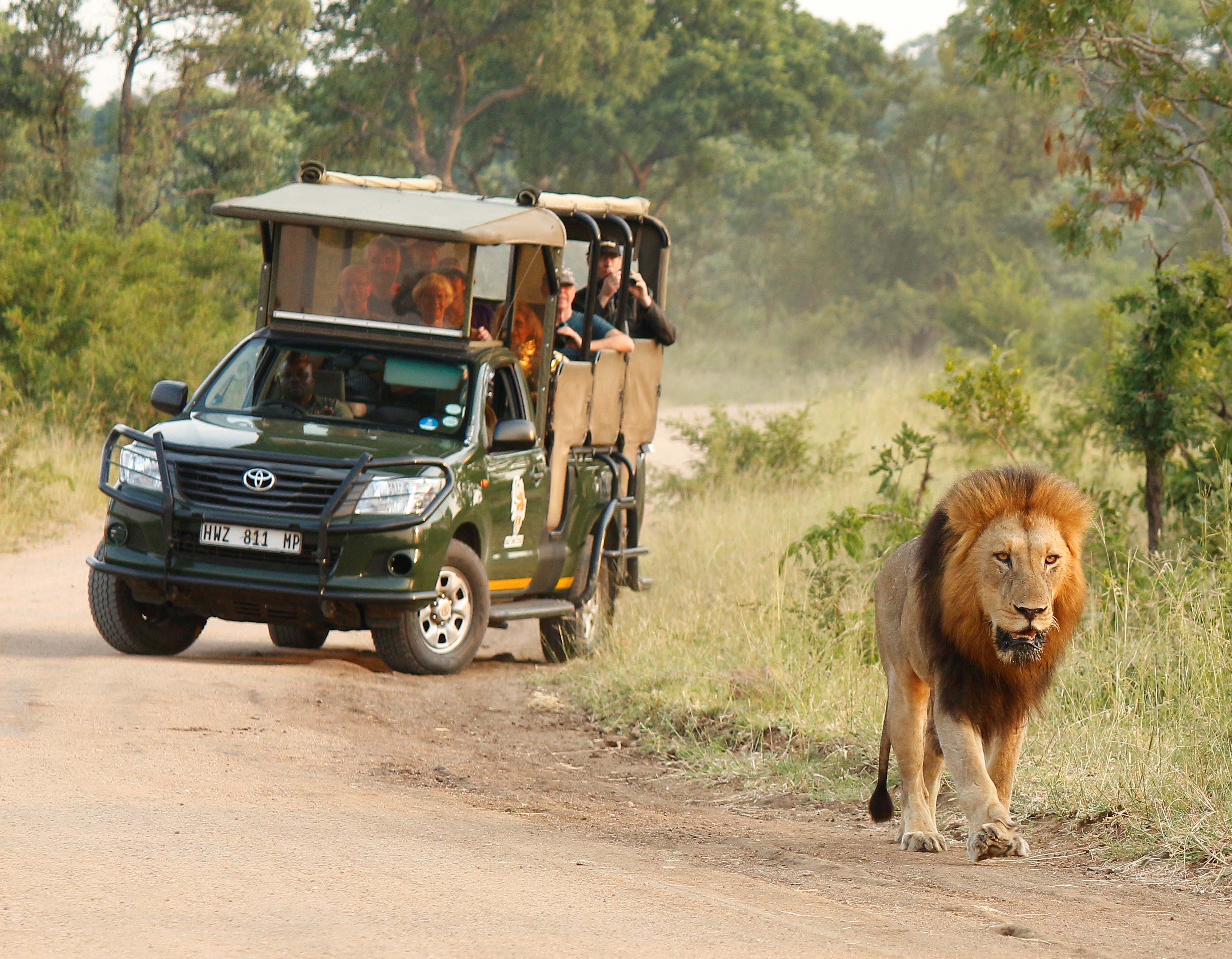 Kruger National Park: Full-Day Private Safari With Pickup – Kruger National Park, South Africa