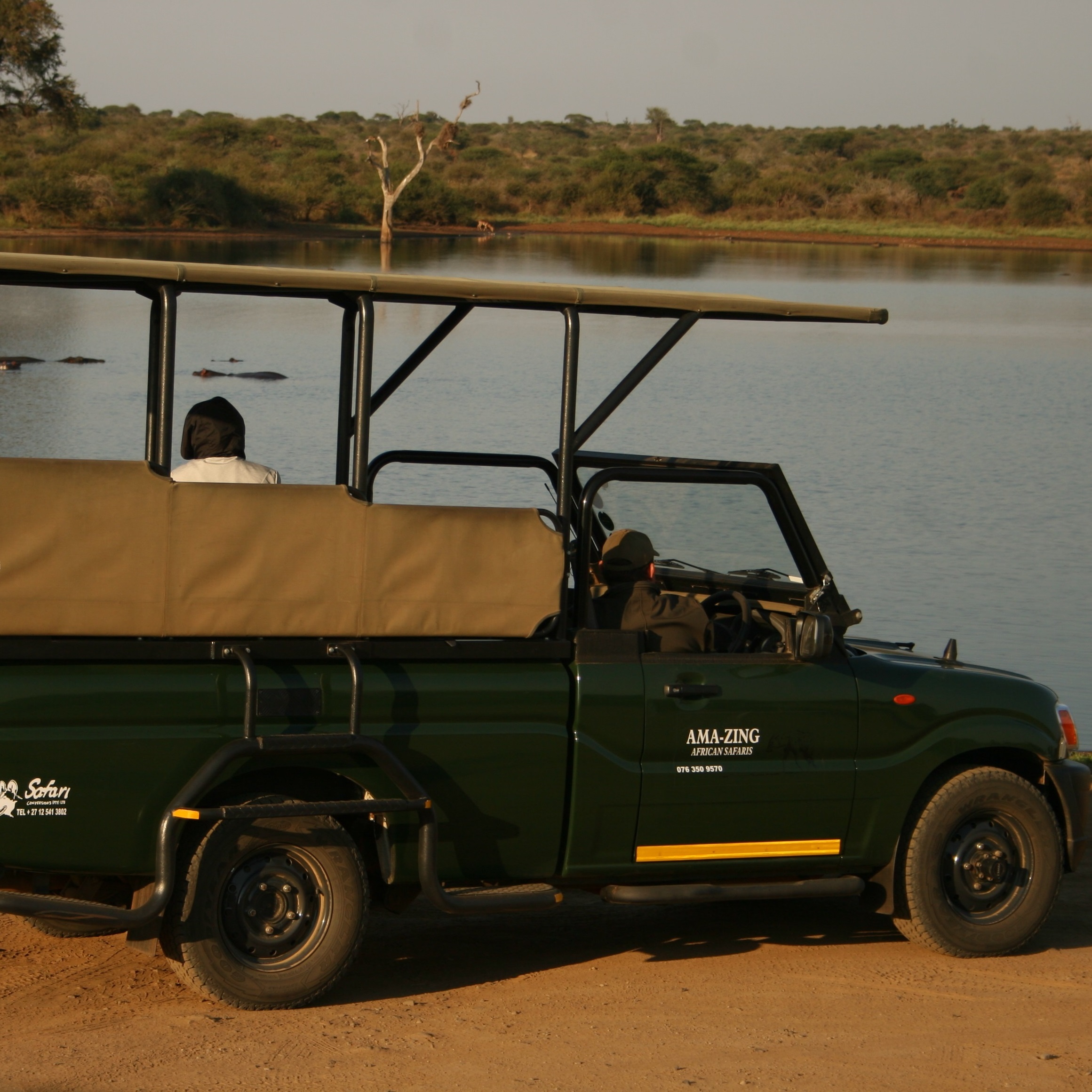 Kruger National Park: Half Day Game Drive Private/Group – Phalaborwa, South Africa