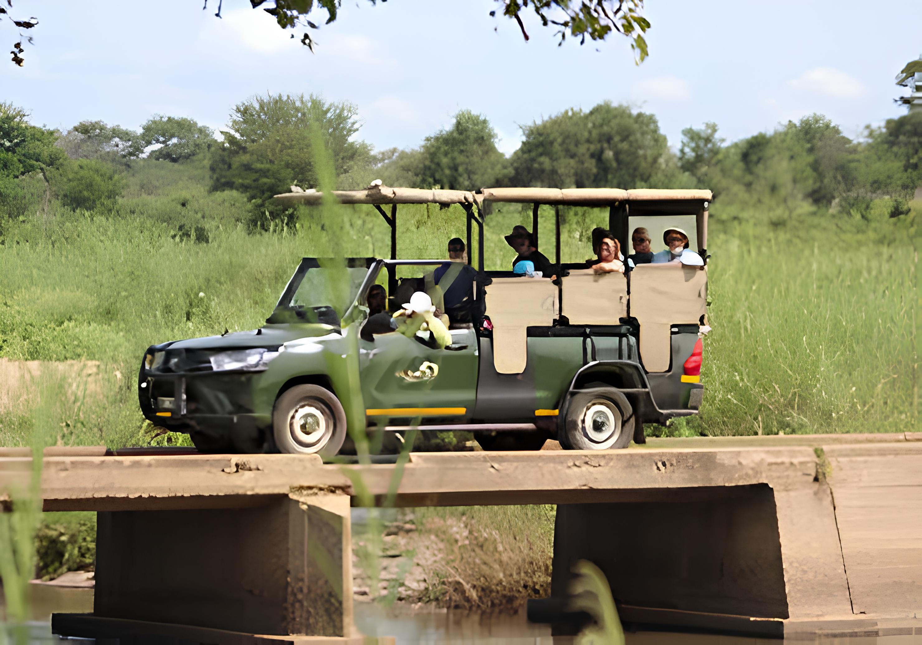 Kruger National Park Safari (Full Day) – Phalaborwa, South Africa