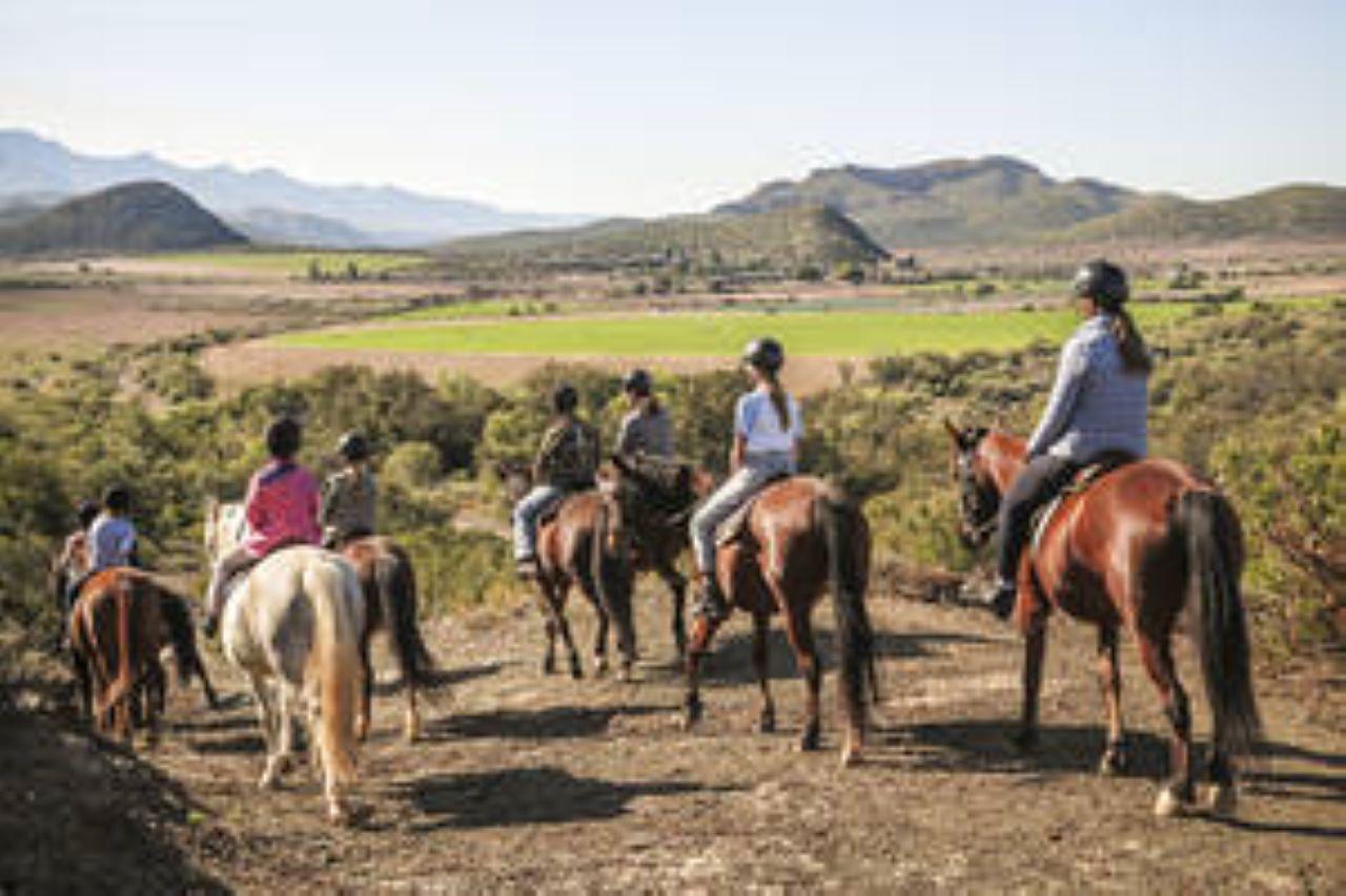 Kudu Trail Horse Riding Experience – Oudtshoorn, South Africa