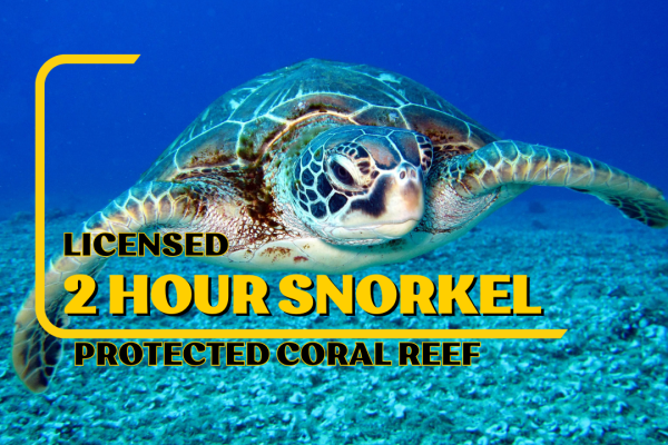 LICENSED Two-Hour Snorkeling Adventure Cahuita National Park – Cahuita, Costa Rica