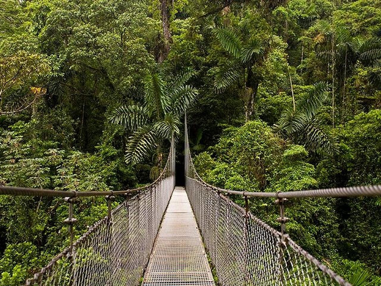 La Fortuna: Arenal Combo Hanging Bridges, Waterfall, Volcano – La Fortuna, Costa Rica