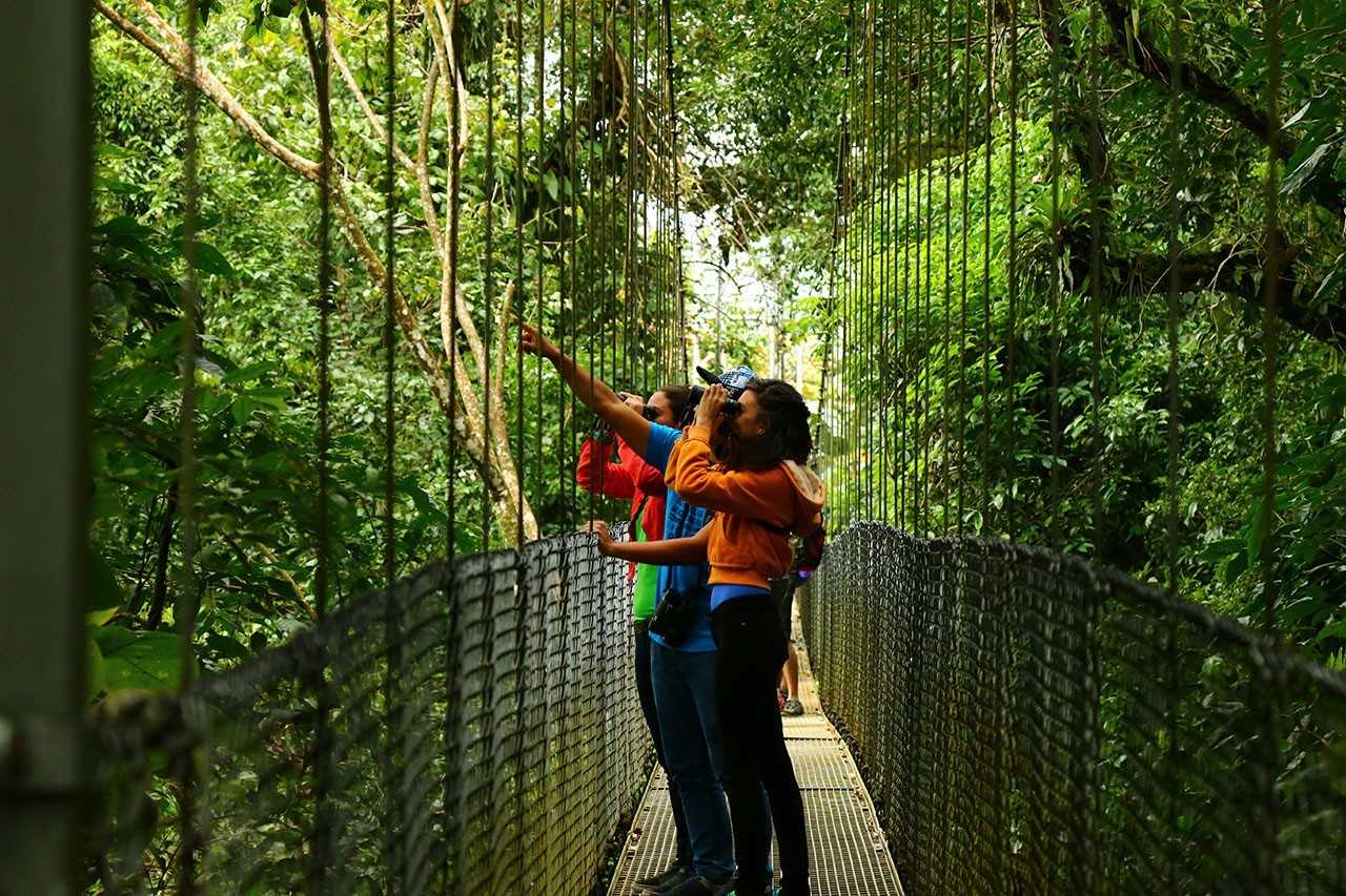 La Fortuna: Hanging Bridges, Arenal Volcano, and Falls Tour – La Fortuna, Costa Rica