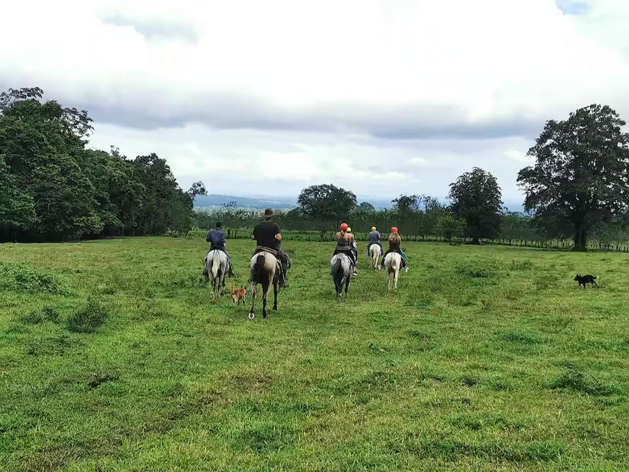 La Fortuna: Horseback Ride to La Fortuna Waterfall – La Fortuna, Costa Rica