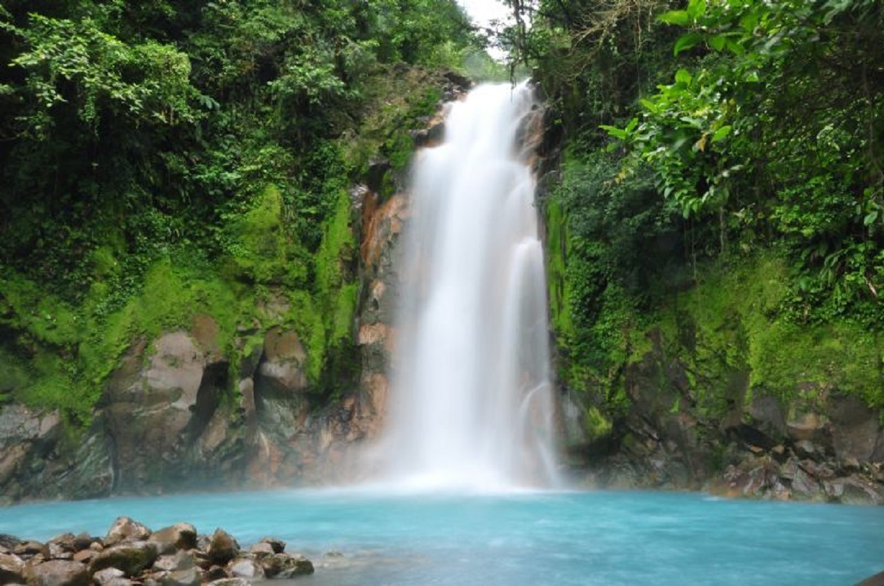 La Fortuna Town: Rio Celeste and Tenorio National Park Tour – La Fortuna, Costa Rica