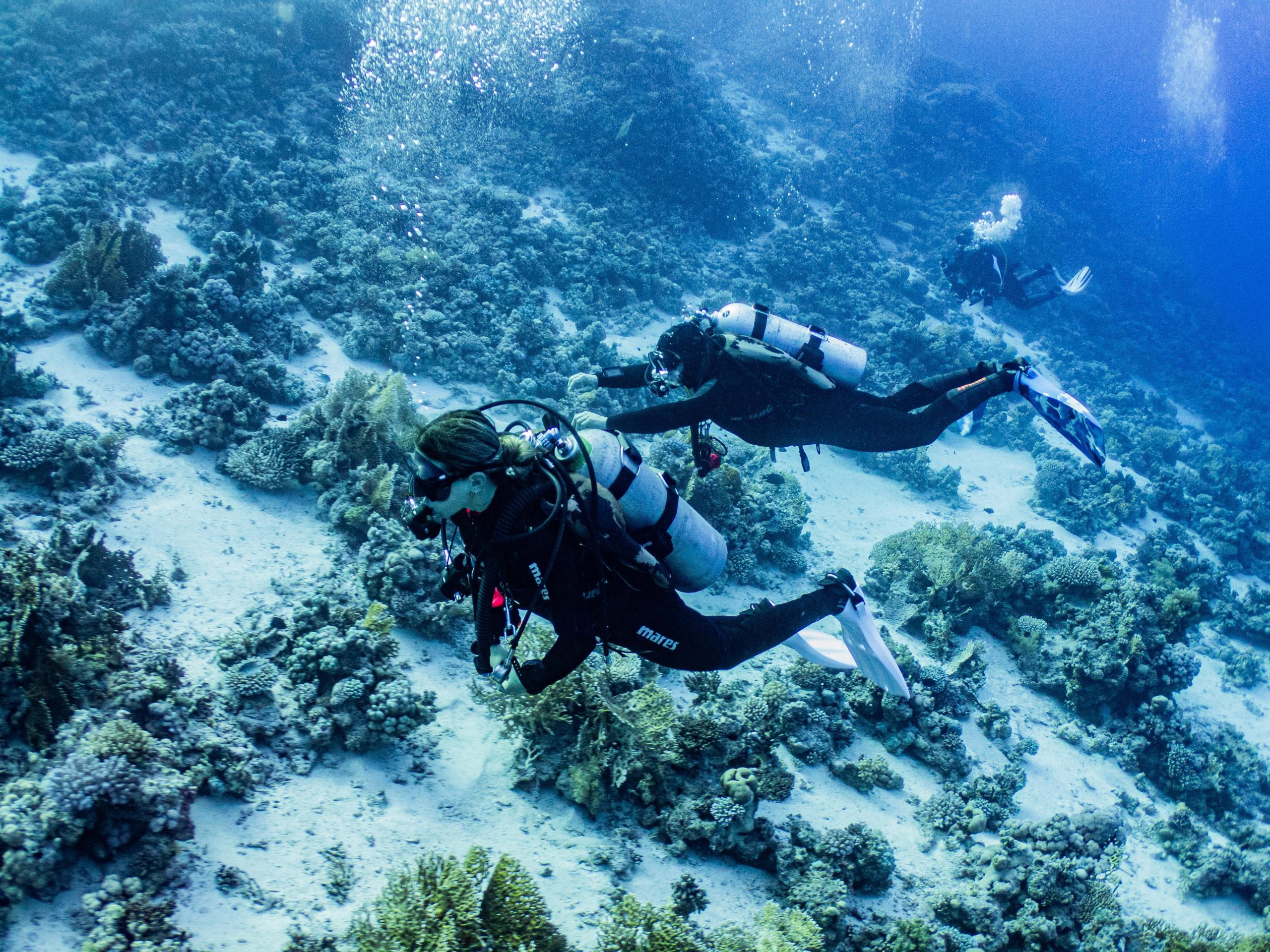 La Manga: Diving baptism – San Pedro del Pinatar, Spain