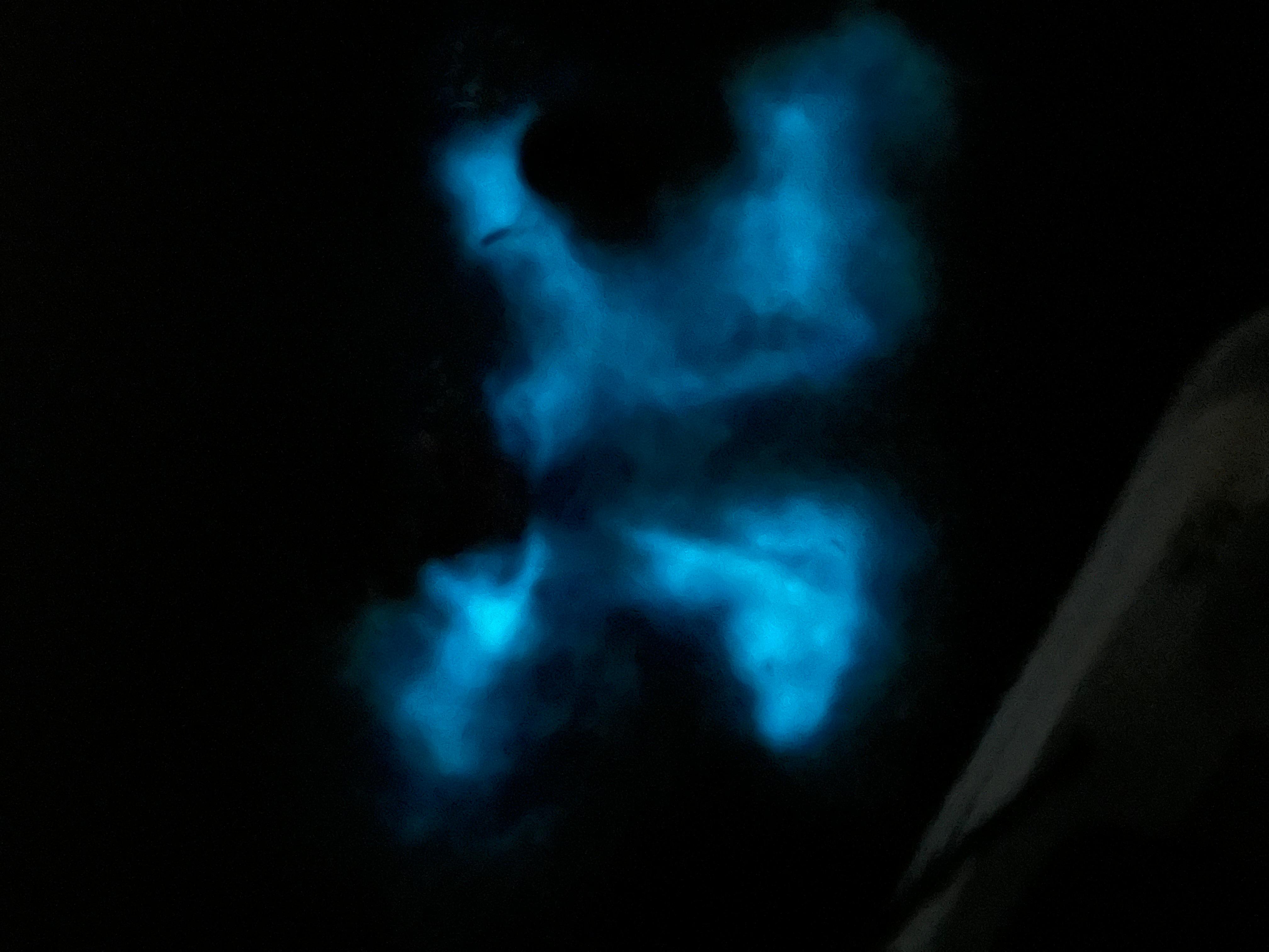 La Parguera: Bioluminescent Bay Boat Tour – Fajardo, Puerto Rico