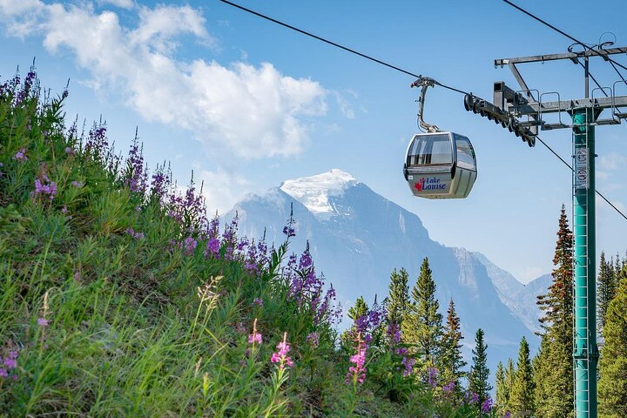 Lake Louise Sightseeing Gondola with Optional Meal – Lake Louise, Canada
