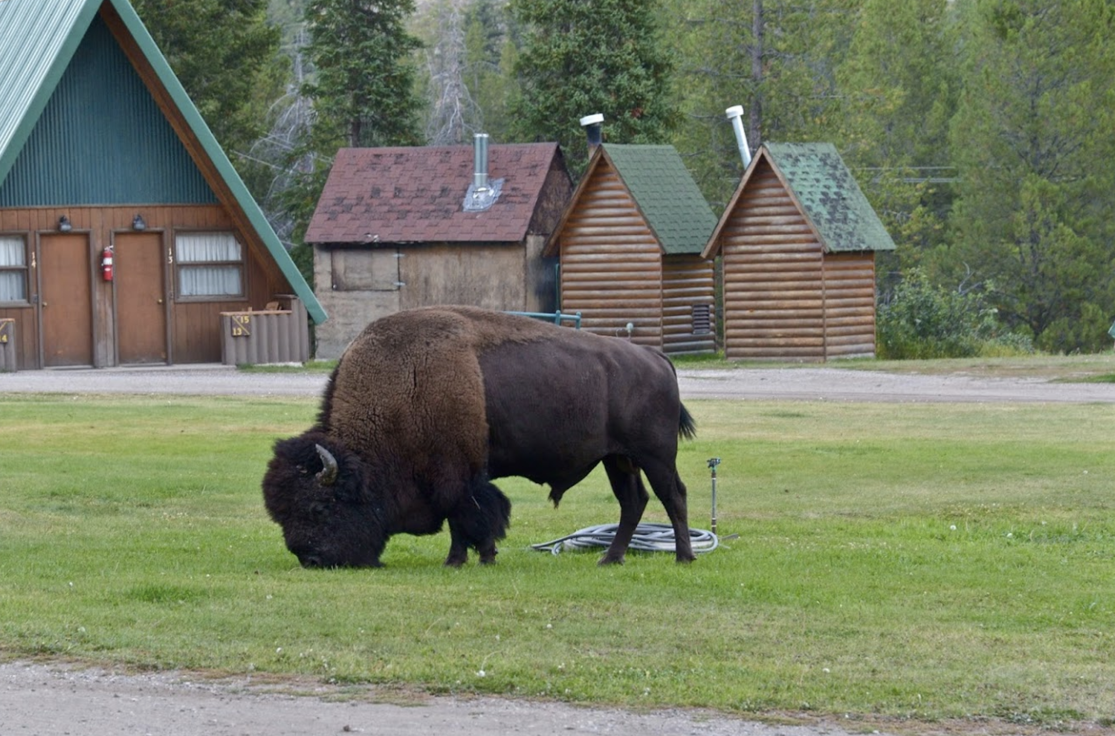 Las Vegas: 5-Day Tour to Salt Lake City with Accommodation – Grand Prismatic Spring, Wyoming