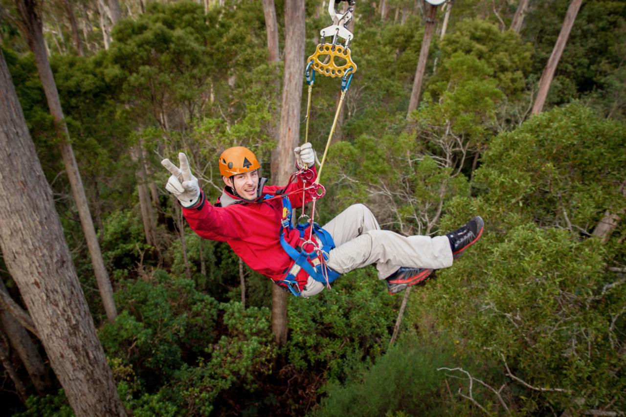 Launceston: Hollybank Forest Treetop Zip Lining with Guide – Launceston, Australia