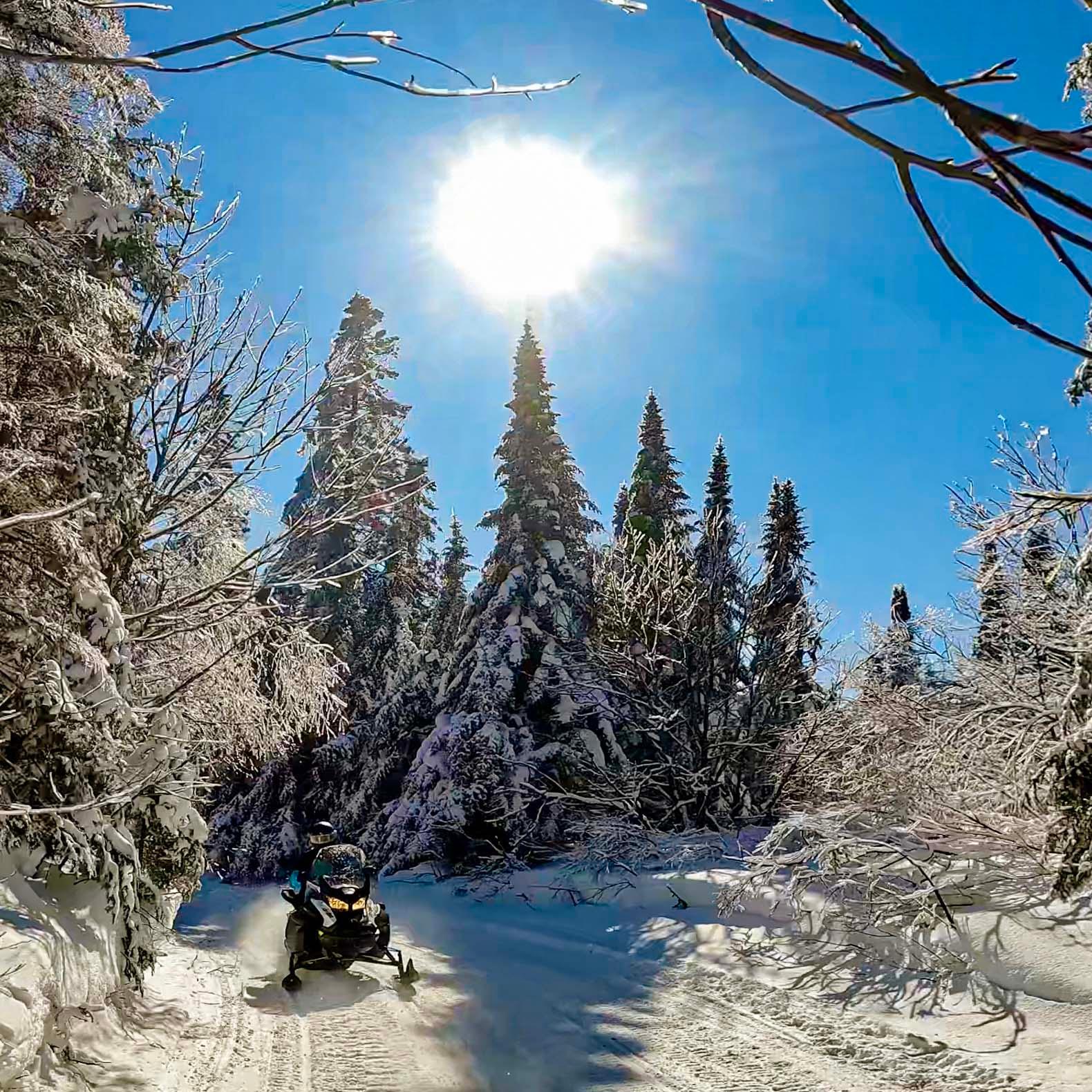 Laurentians: Snowmobile Guided Tour – Lac-Supérieur, Canada