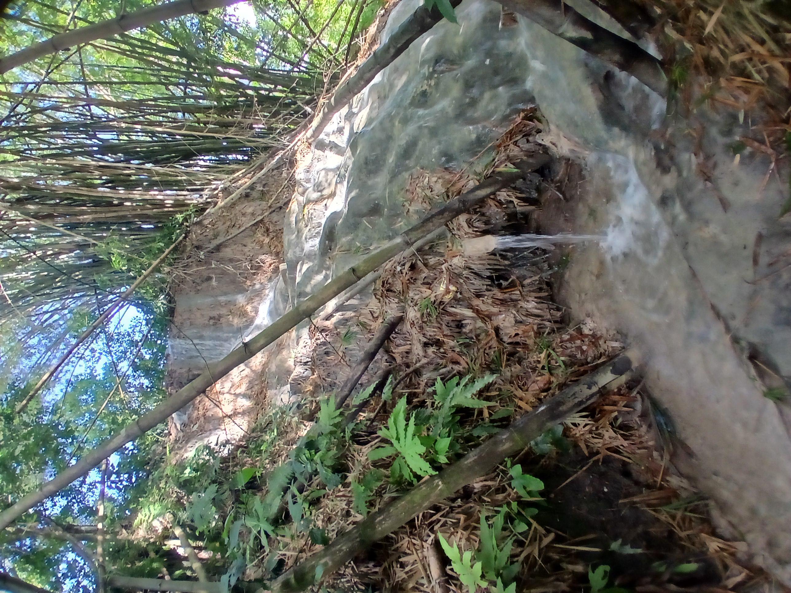 Lethe Mountain Valley Hiking – Lethe, Jamaica