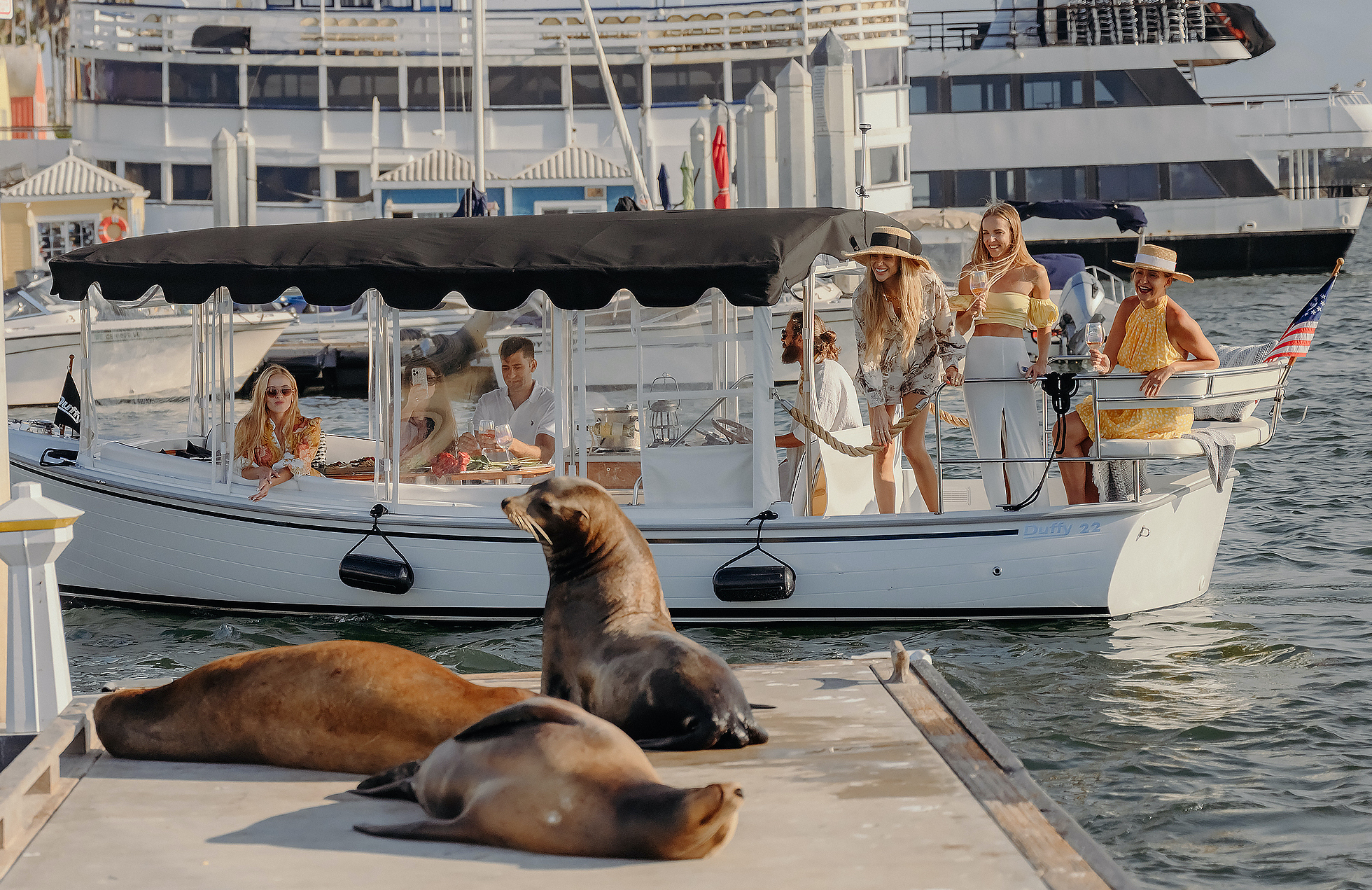 Los Angeles: Luxury Cruise with Wine, Cheese & Sea Lions – Los Angeles, California