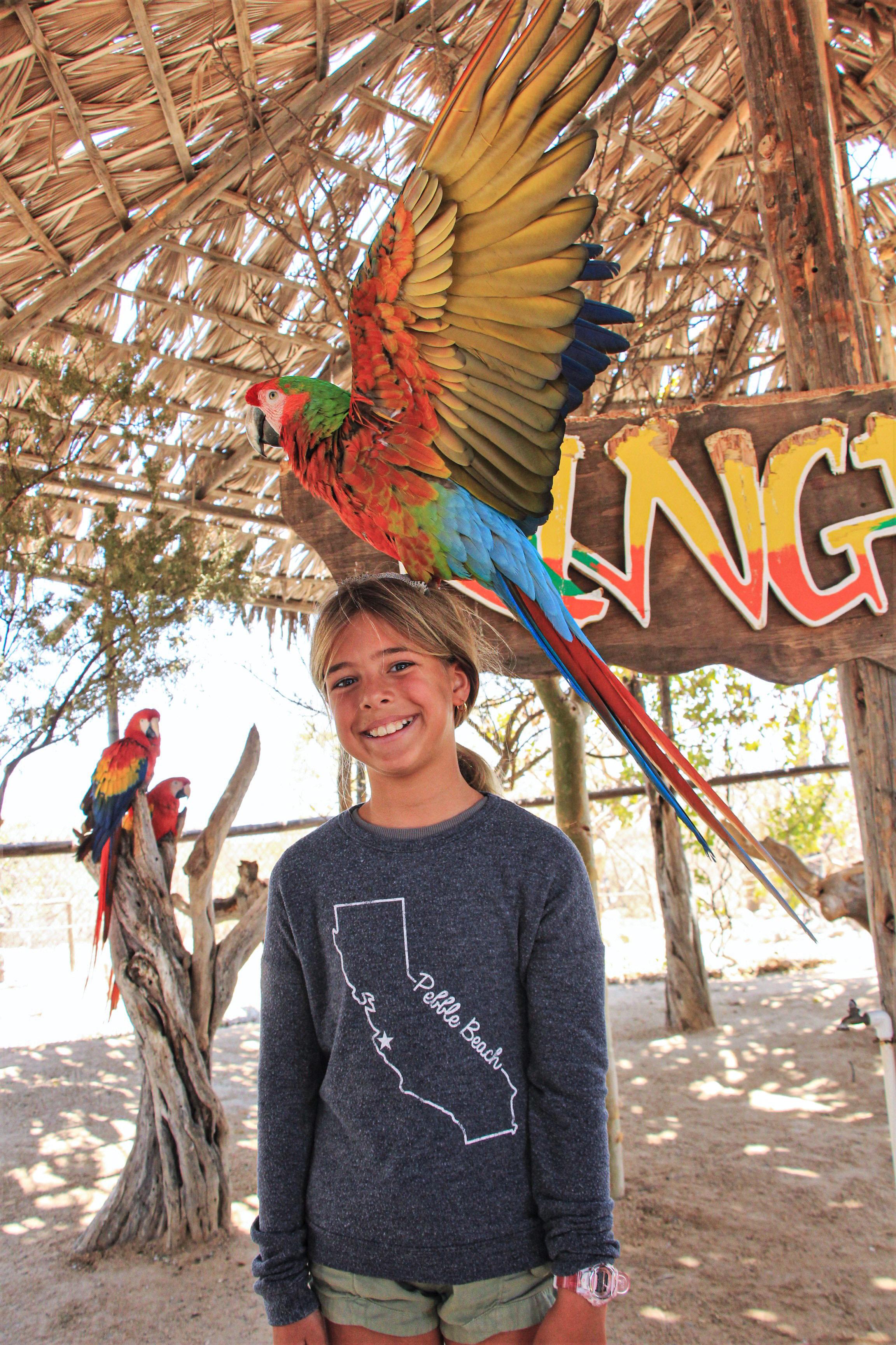 Los Cabos: Animal Encounter & Aqua Park Adventure – Cabo San Lucas, Mexico