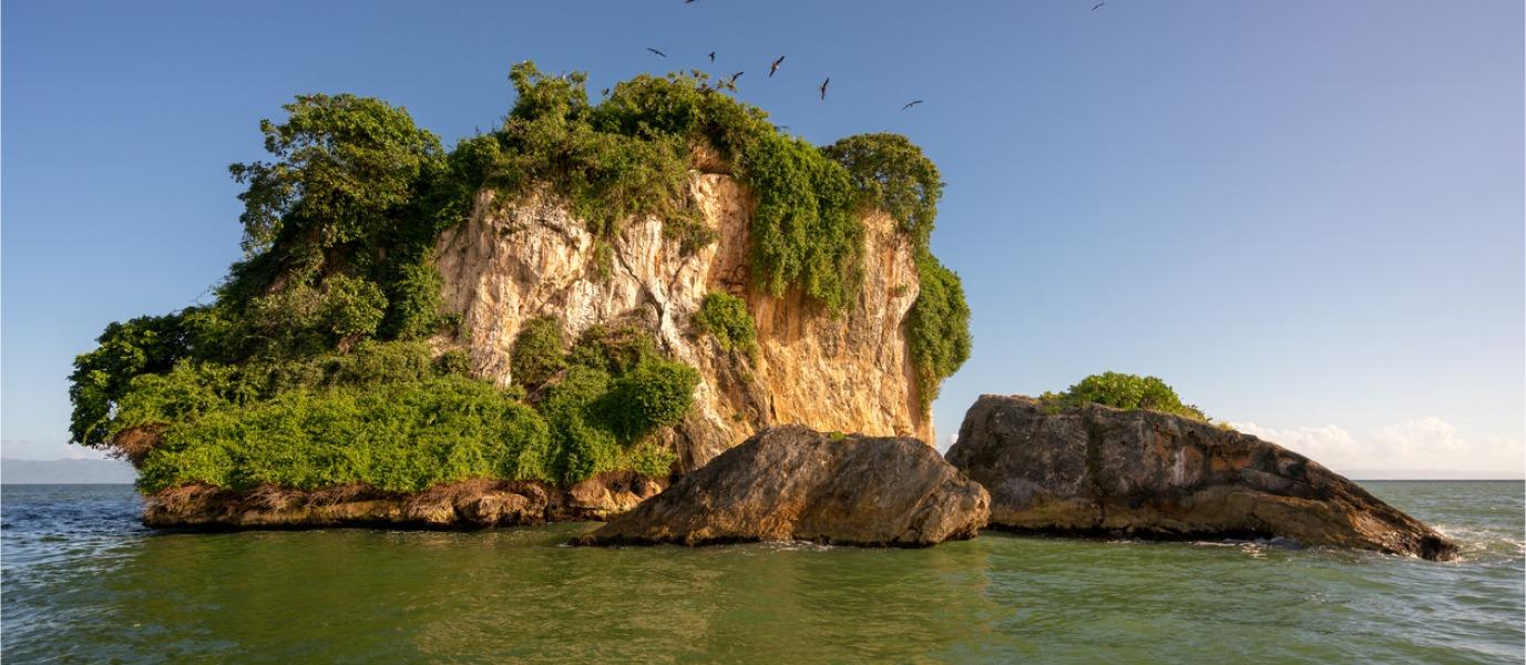 Los Haitises National Park: Boat Tour with Caves Visit – Sabana de la Mar, Dominican Republic