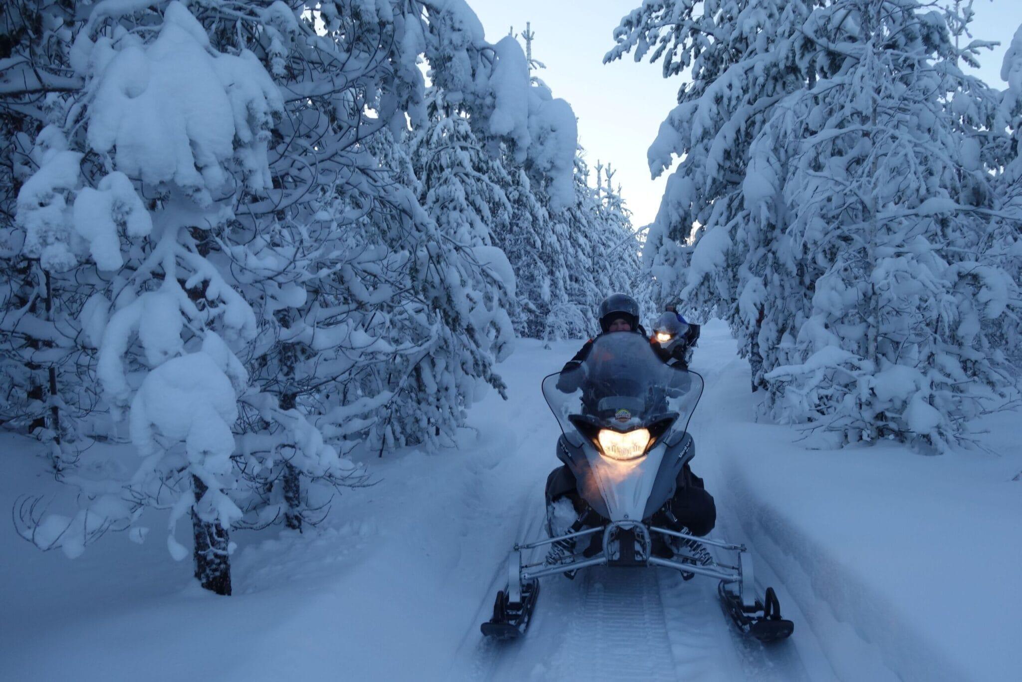 Luleå: Forest & Ice Snowmobile Tours (2 or 4 Hours) – Luleå, Sweden