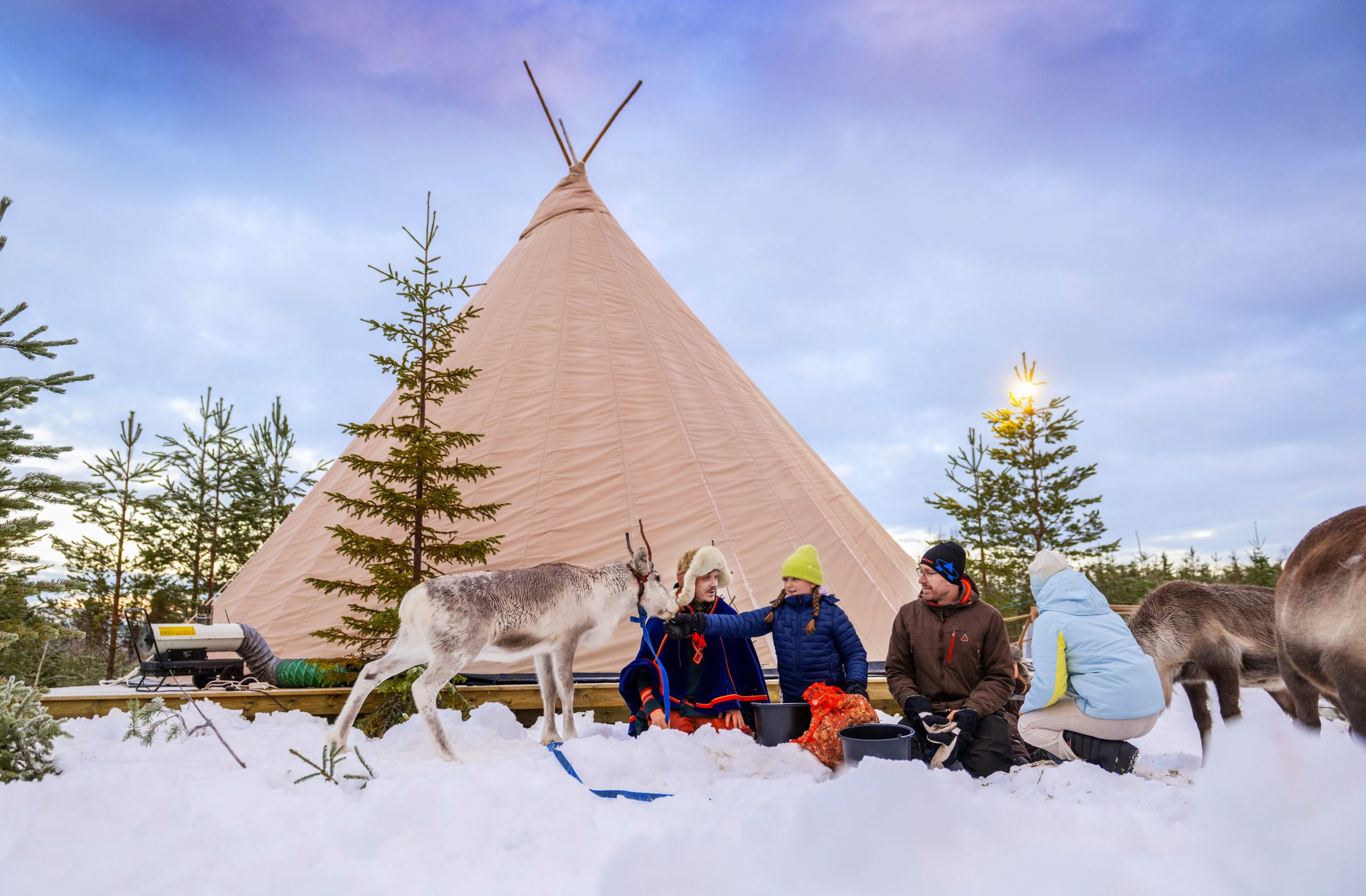 Luleå: Meet and Feed the Reindeer – Short Experience – Luleå, Sweden