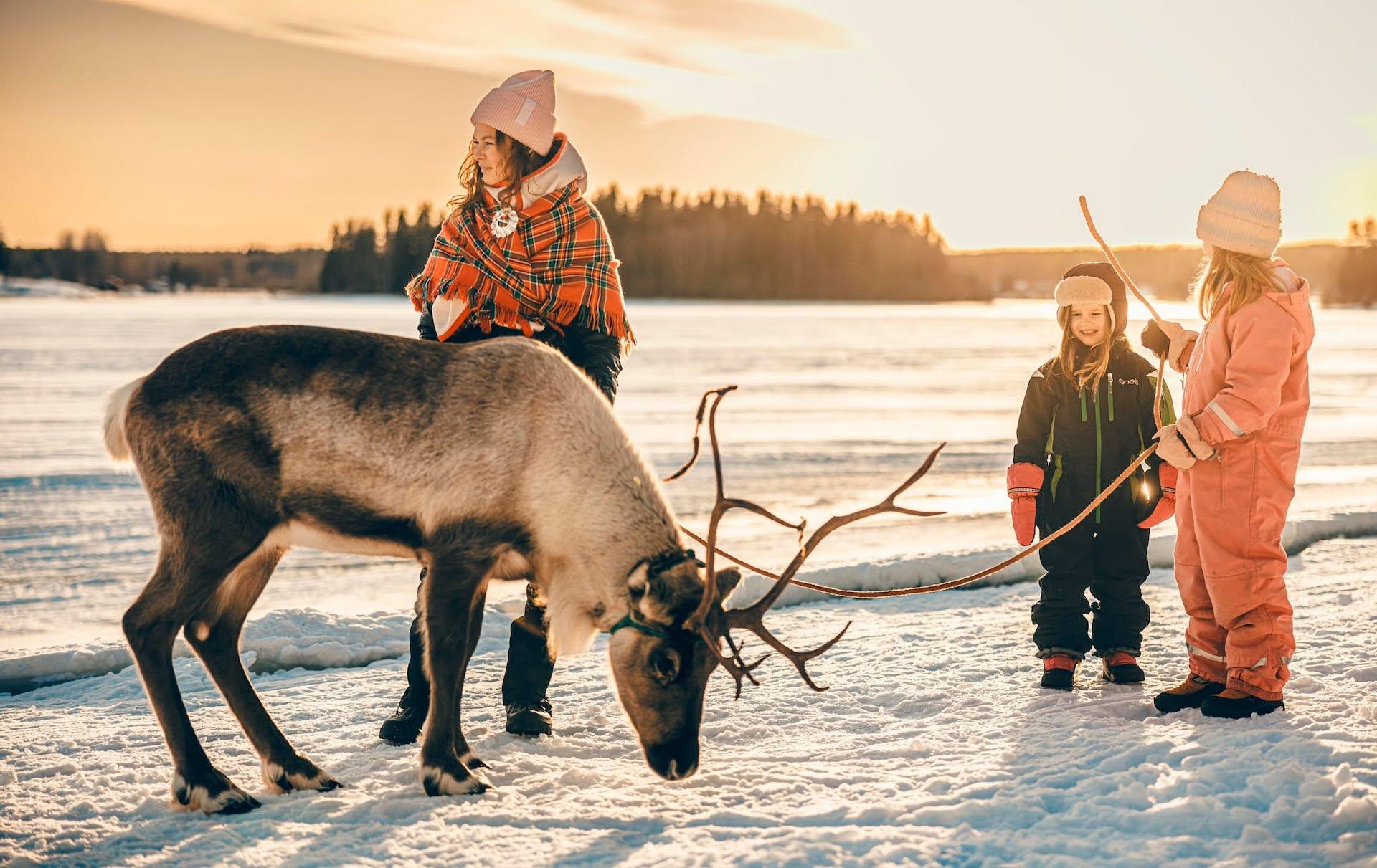 Luleå: Sami Culture & Reindeer Winter Experience – Luleå, Sweden
