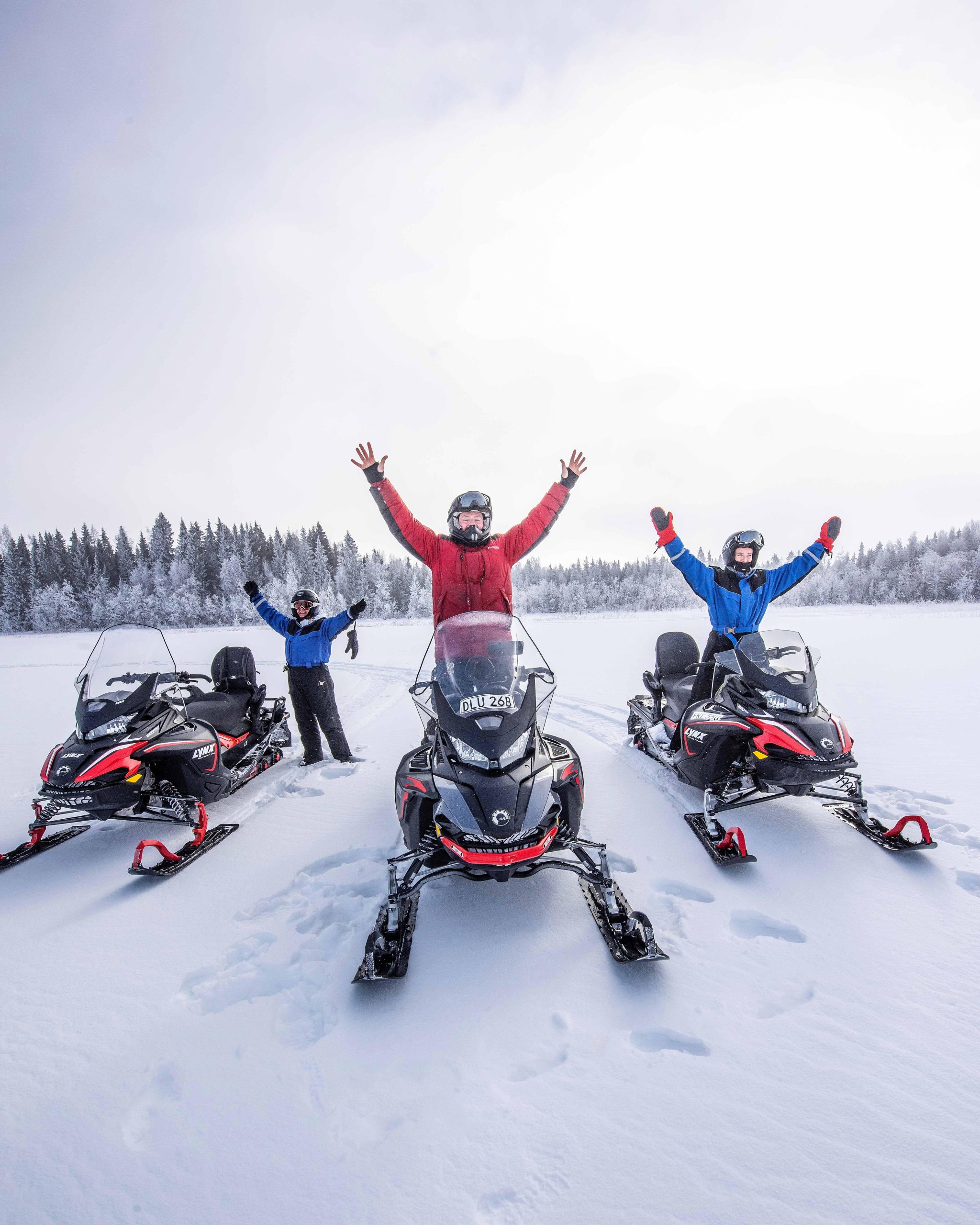 Luleå : Snowmobile – Forest and Ice Nature Tour 2h – Luleå, Sweden