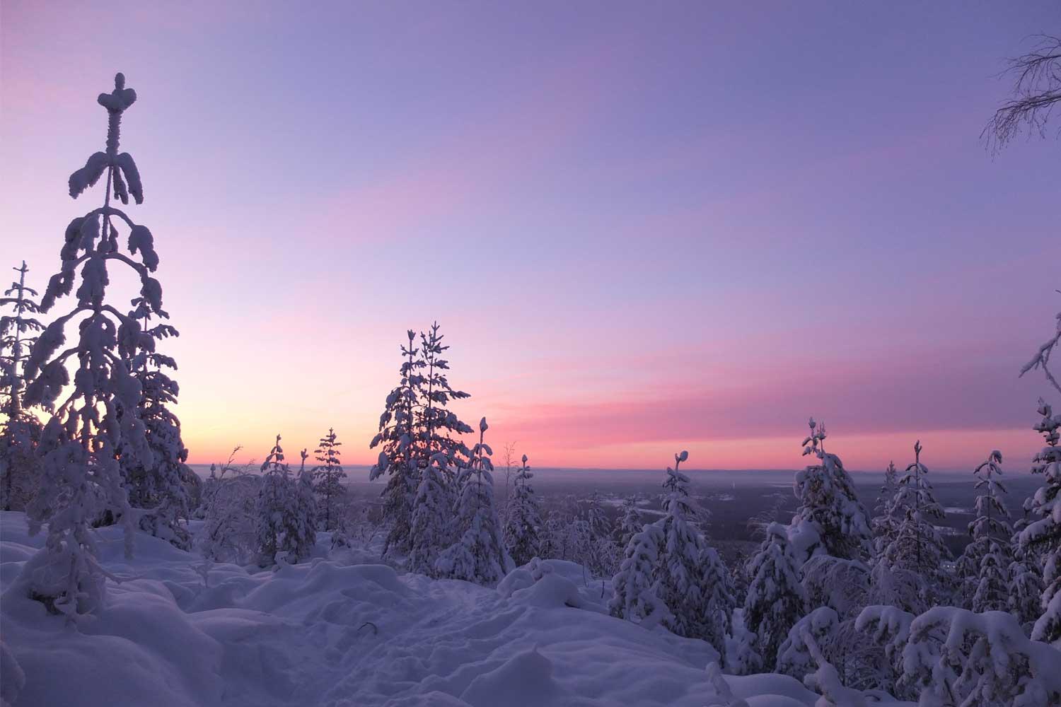 Luleå: snowshoeing in pristine nature with an expert guide! – Luleå, Sweden
