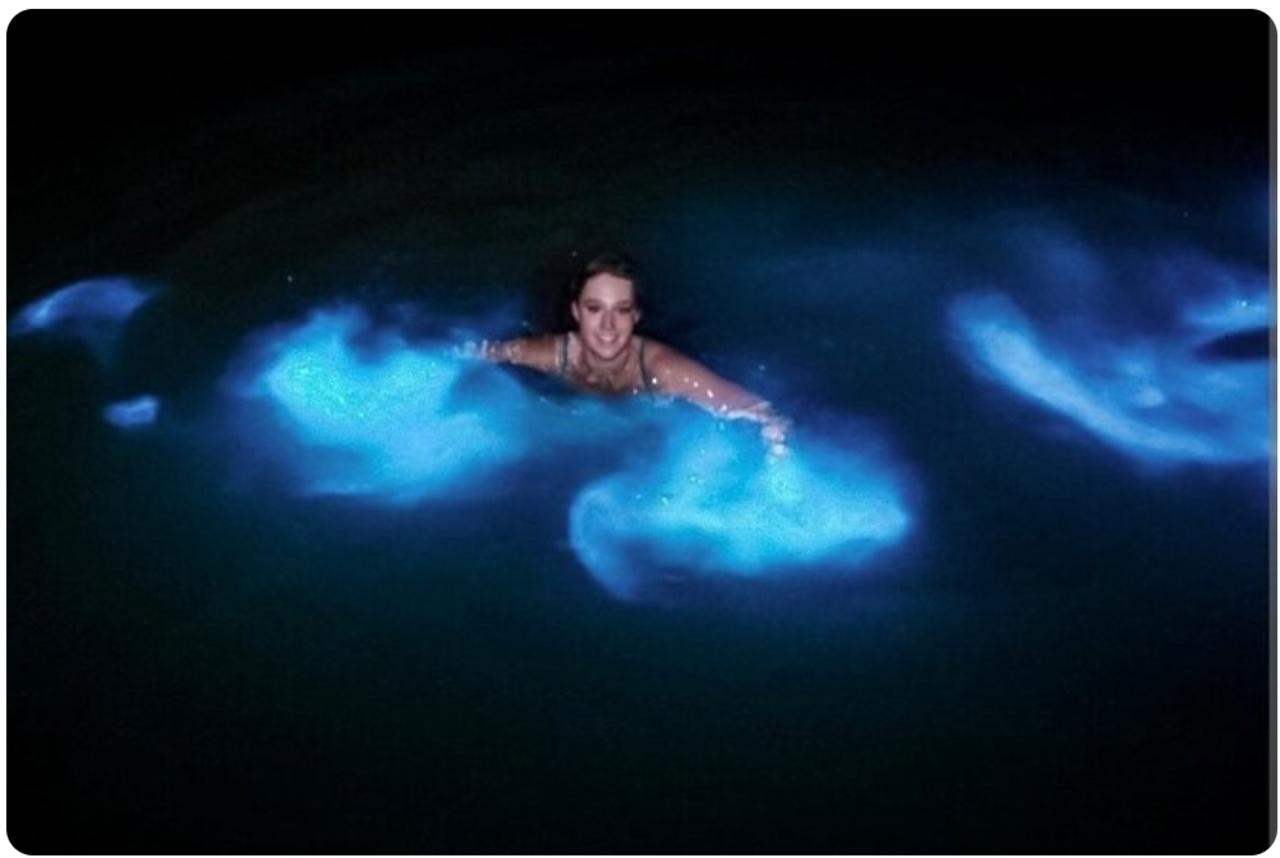 Luminous lagoon: Night Tour from Falmouth Hotels and Villas – Falmouth, Jamaica