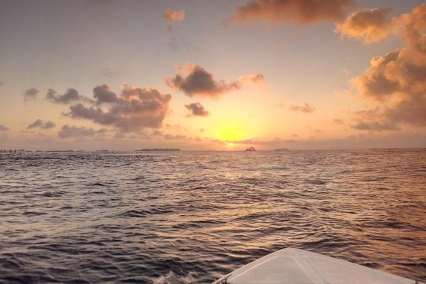 Maldives: Sunset Cruise with Dolphin Watching – Maldives