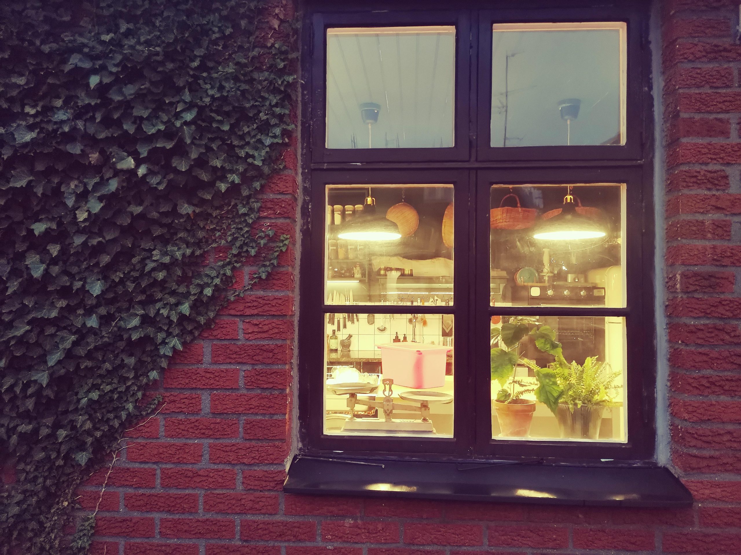 Malmö: Korean Dumplings Cooking Class with Chef So-Young – Malmö, Sweden