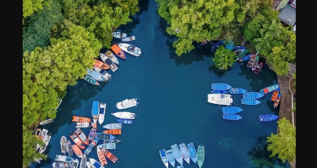 Mangove boat and plantation tour – in Rio San Juan – Puerto Plata, Dominican Republic