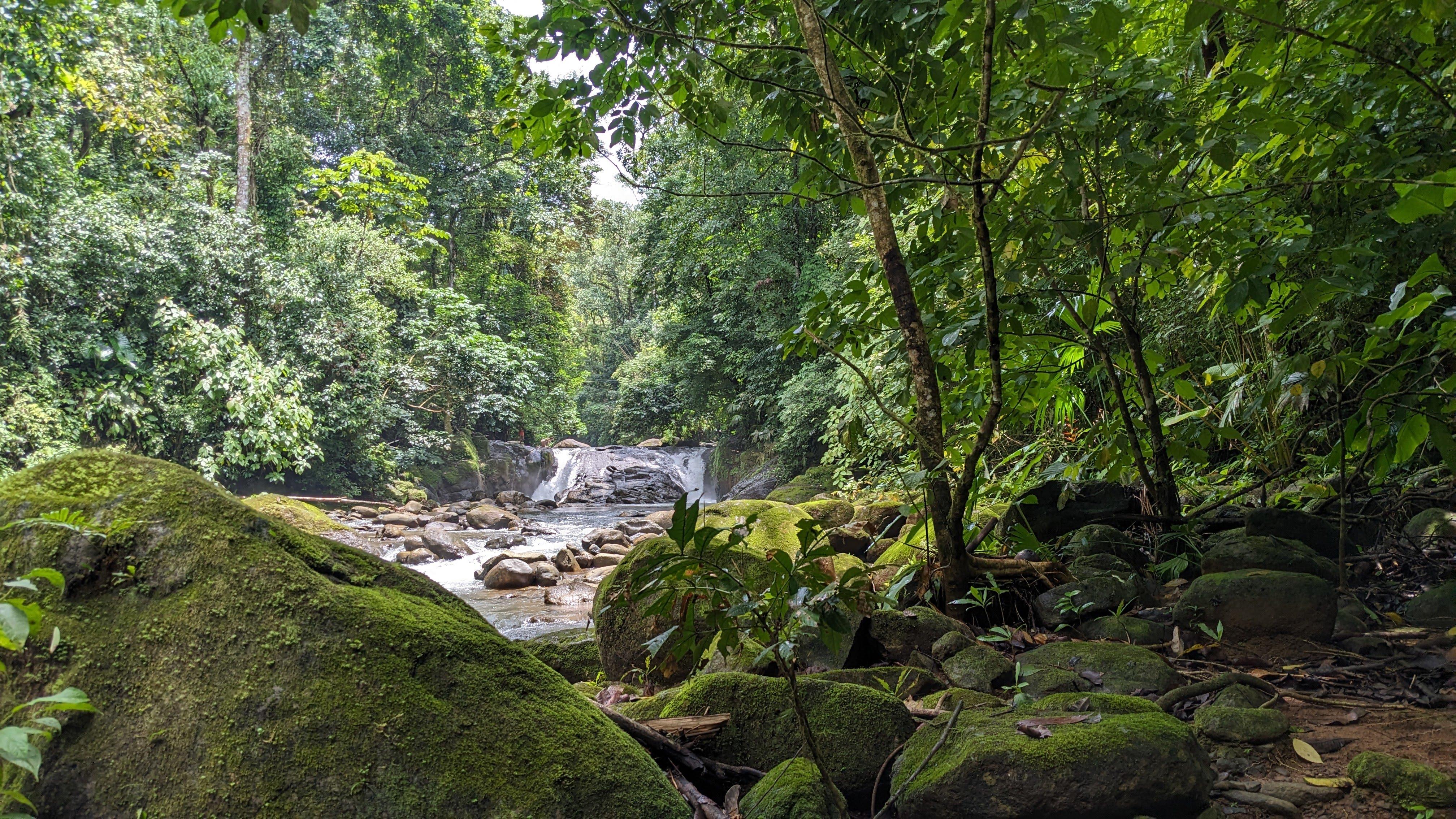 Manuel Antonio: Jungle Waterfall Mountain Bike Tour – Manuel Antonio, Costa Rica