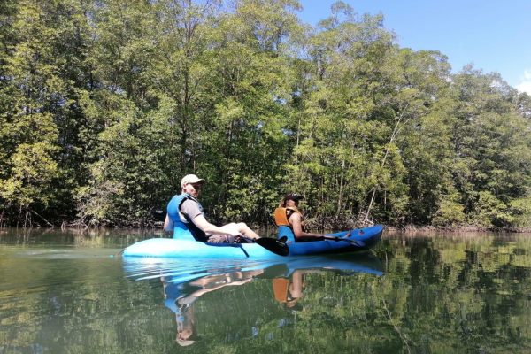 Manuel Antonio: Kayak Tour in the Mangroves to see animals – Quepos, Costa Rica