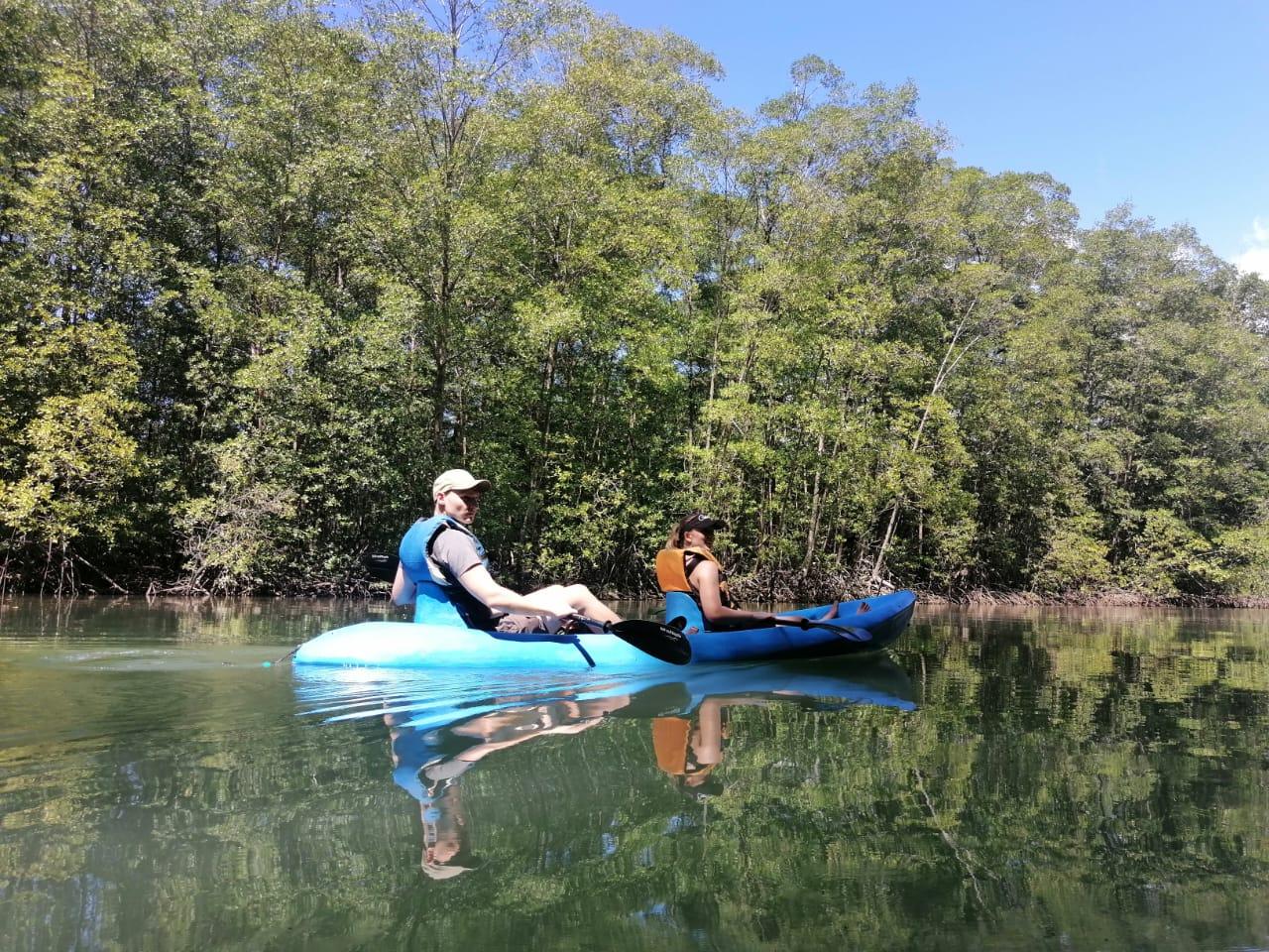 Manuel Antonio: Kayak Tour in the Mangroves to see animals – Quepos, Costa Rica