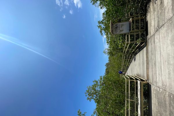 Manuel Antonio National Park: Animal watching hike – Manuel Antonio National Park, Costa Rica