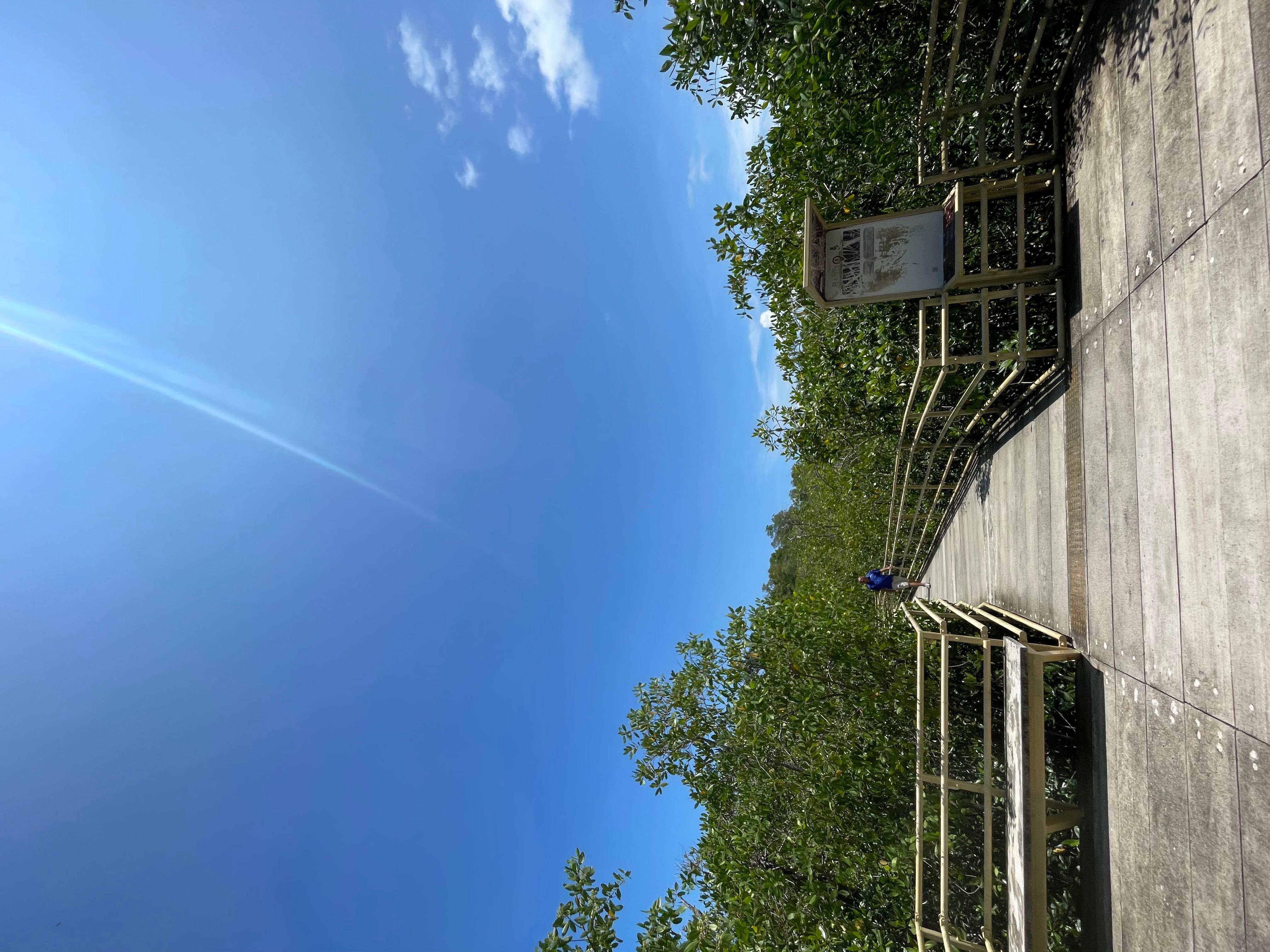 Manuel Antonio National Park: Animal watching hike – Manuel Antonio National Park, Costa Rica