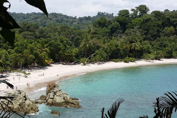 Manuel Antonio National Park Combo Tour from San Jose – Manuel Antonio National Park, Costa Rica