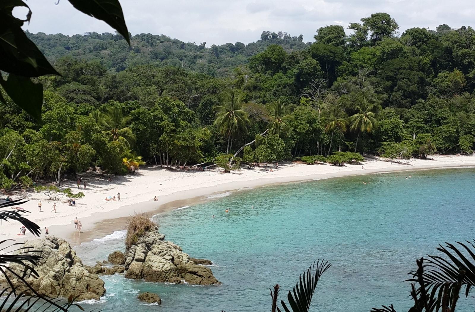 Manuel Antonio National Park Combo Tour from San Jose – Manuel Antonio National Park, Costa Rica