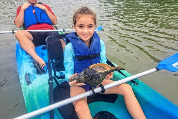 Marco Island: Kayak Mangrove Ecotour in Rookery Bay Reserve – Naples, Florida