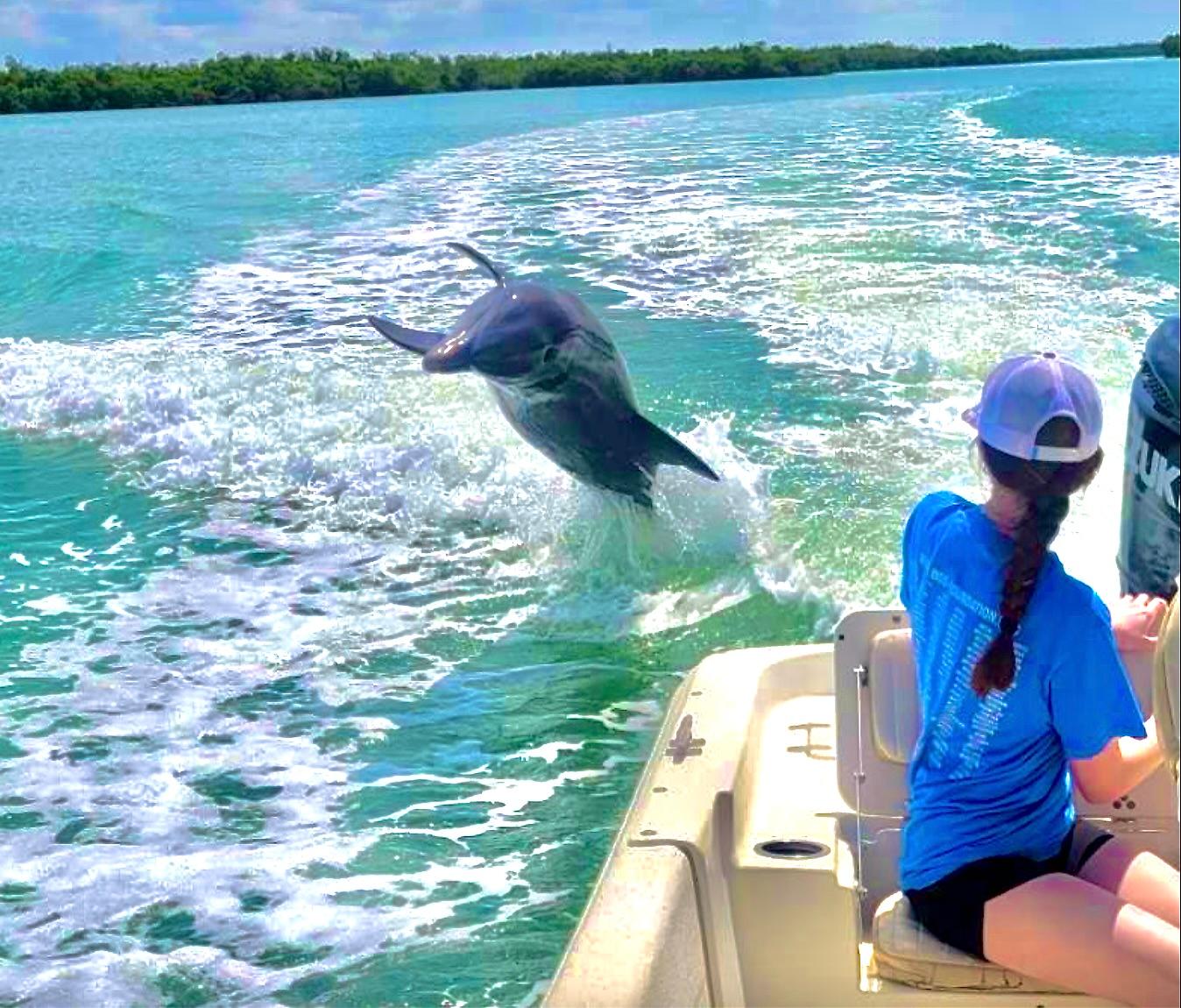 Marco Island: Private Shelling & Dolphin Excursion – Goodland, Florida