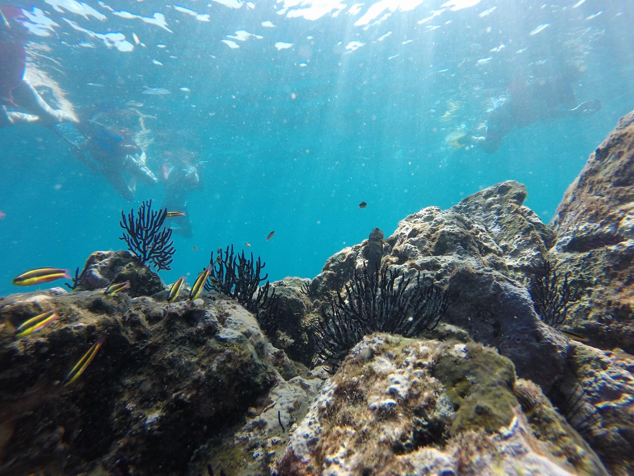 Marietas Islands: snorkeling safari with local guide – Punta Mita, Mexico