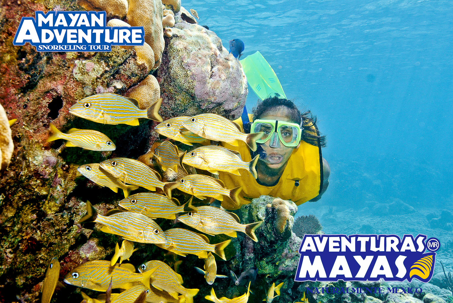 Mayan Adventure – 3 different snorkeling sites in one day! – Playa del Carmen, Mexico