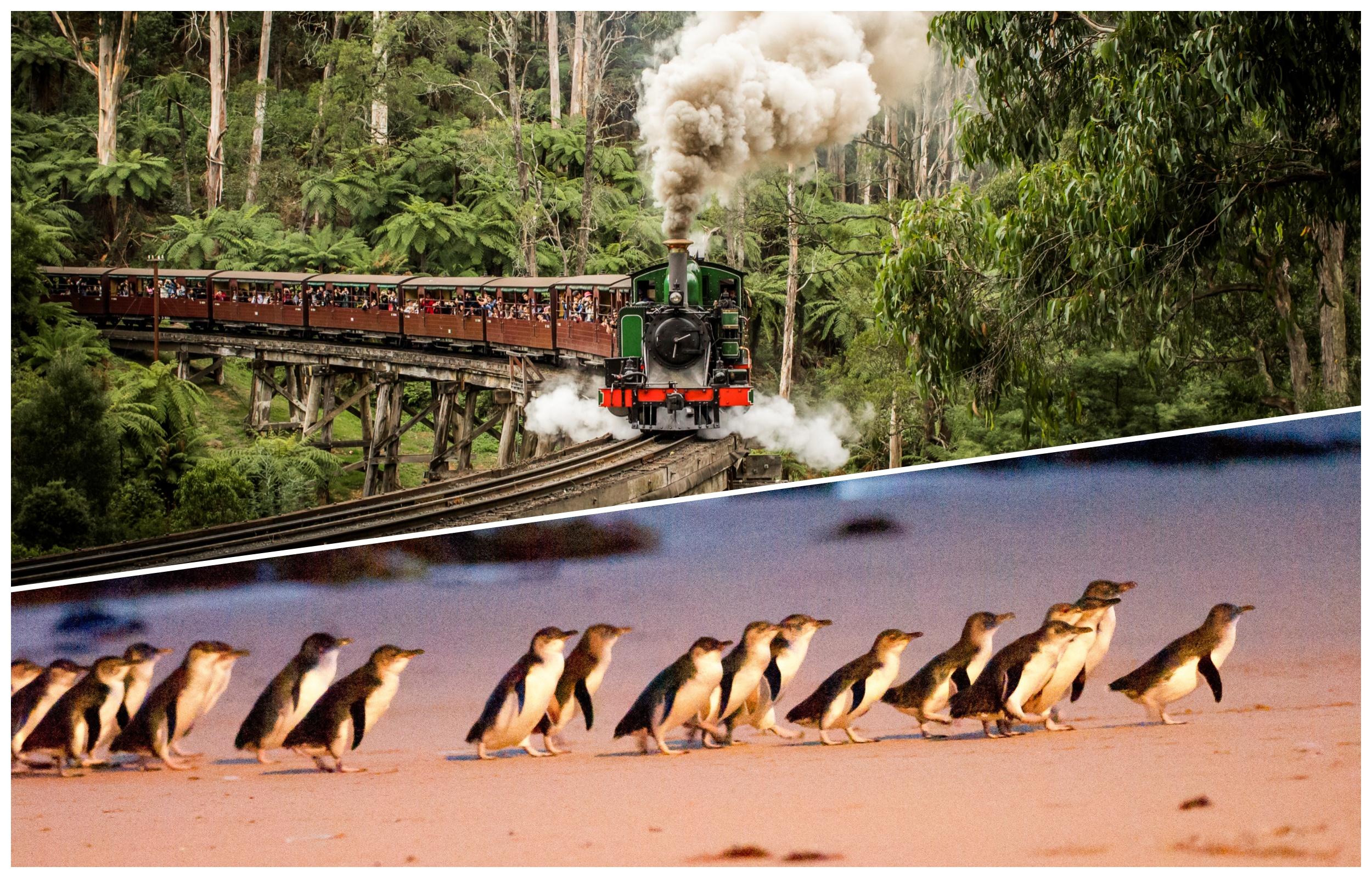 Melbourne: Puffing Billy Railway & Penguin Parade Day Tour – Melbourne, Australia