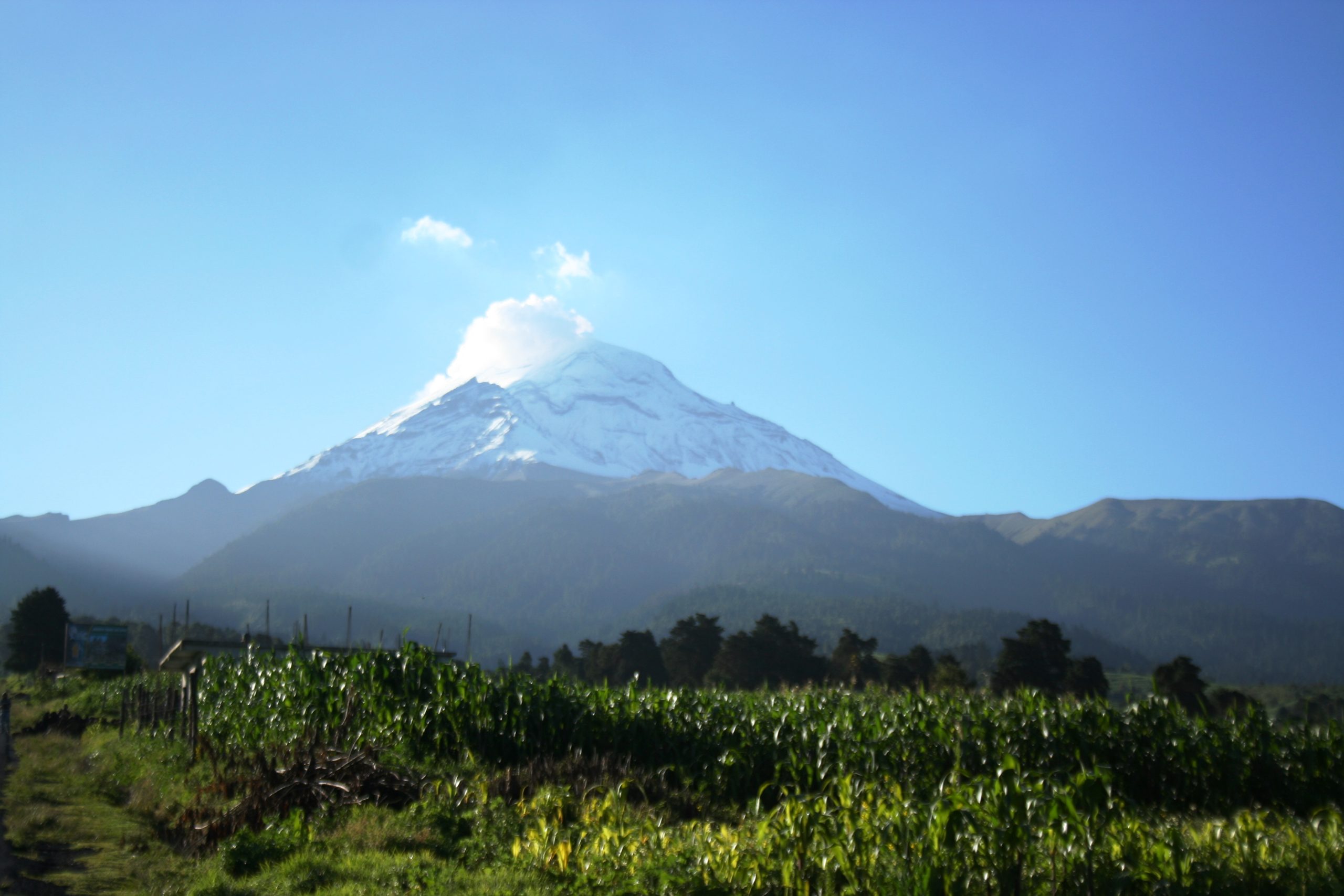 Mexico City: Guided Volcano Trek with Lunch – Mexico City, Mexico