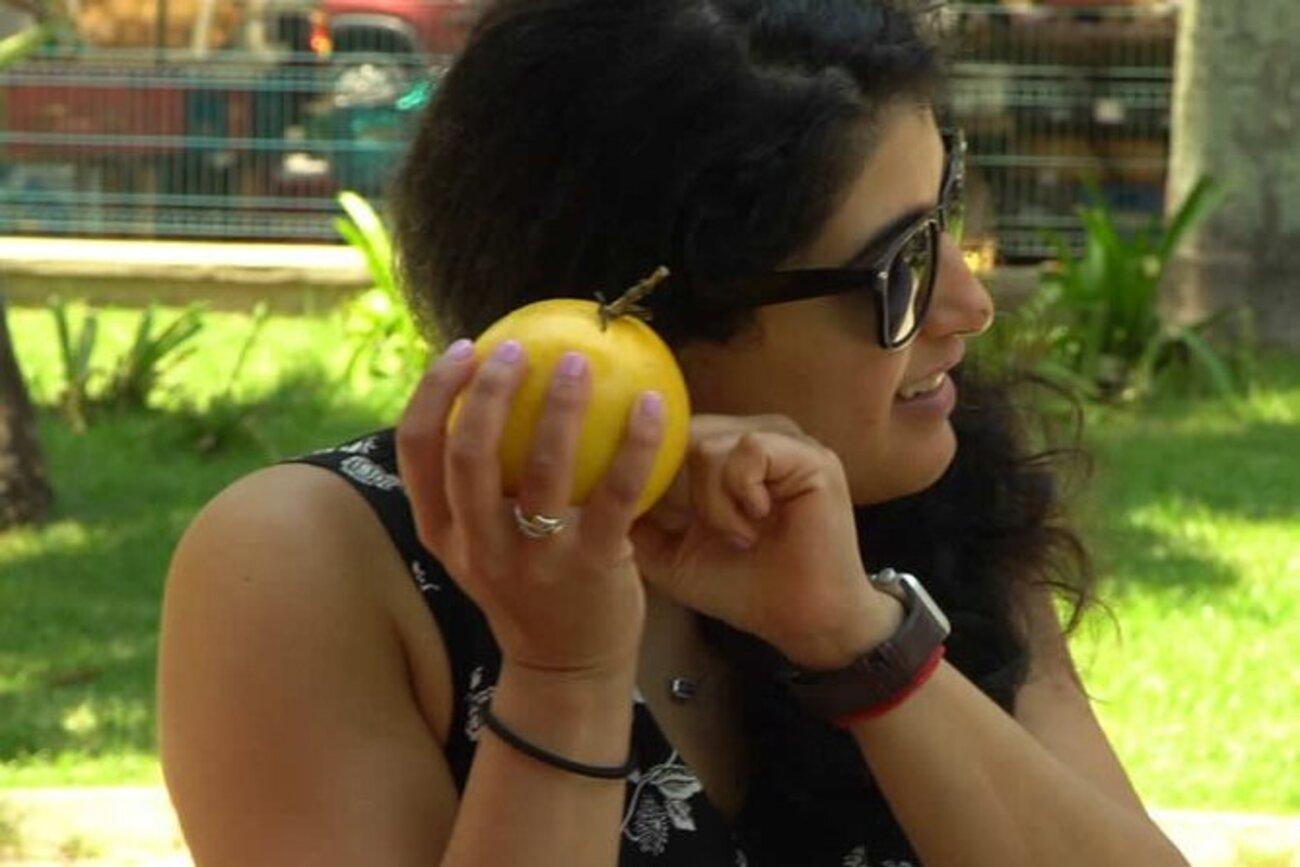 Mexico’s Tropical Fruit Guided Tasting in Mexico City – Mexico City, Mexico