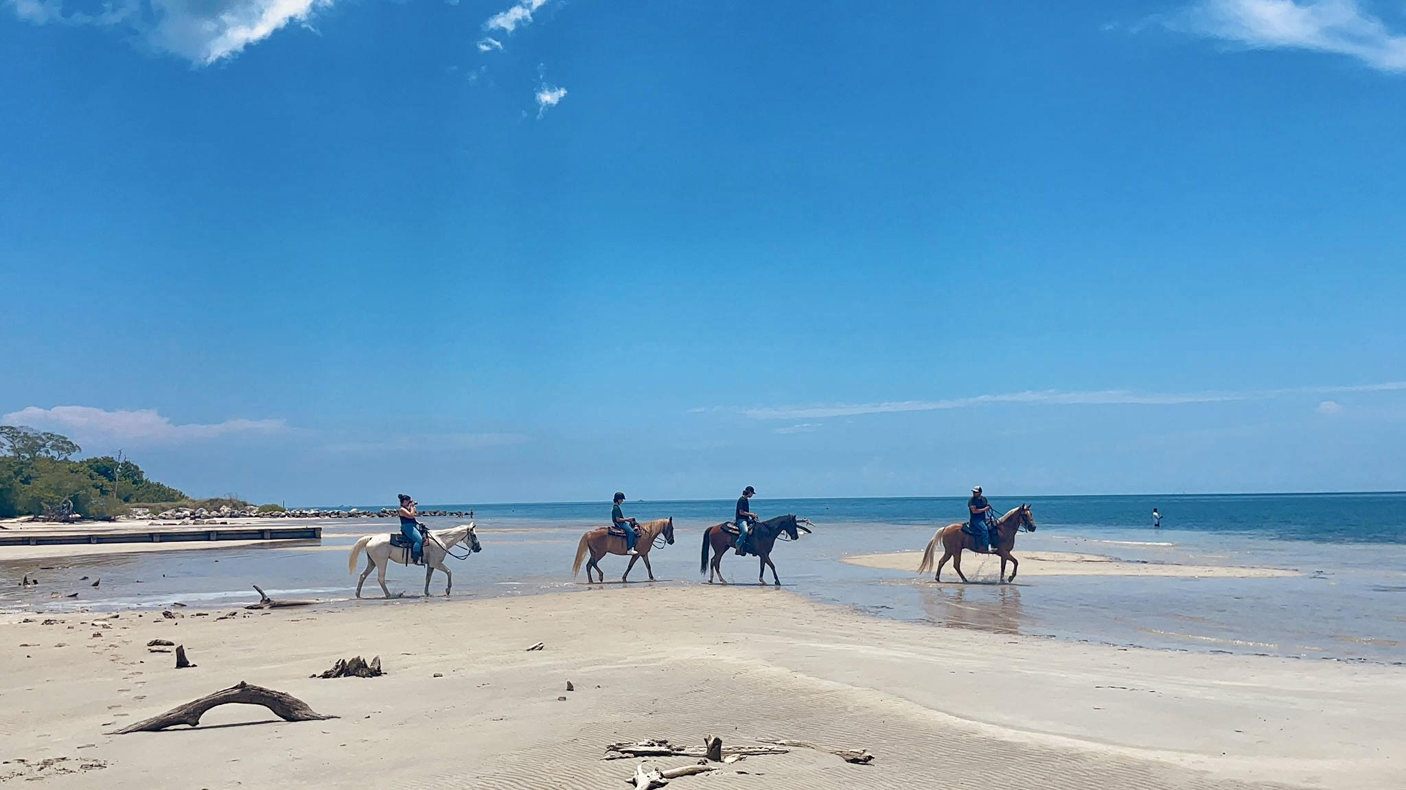 Miami: Beach Horse Ride & Nature Trail – Miami, Florida