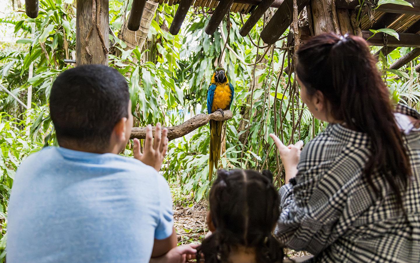 Miami: Jungle Island General Admission – Miami, Florida