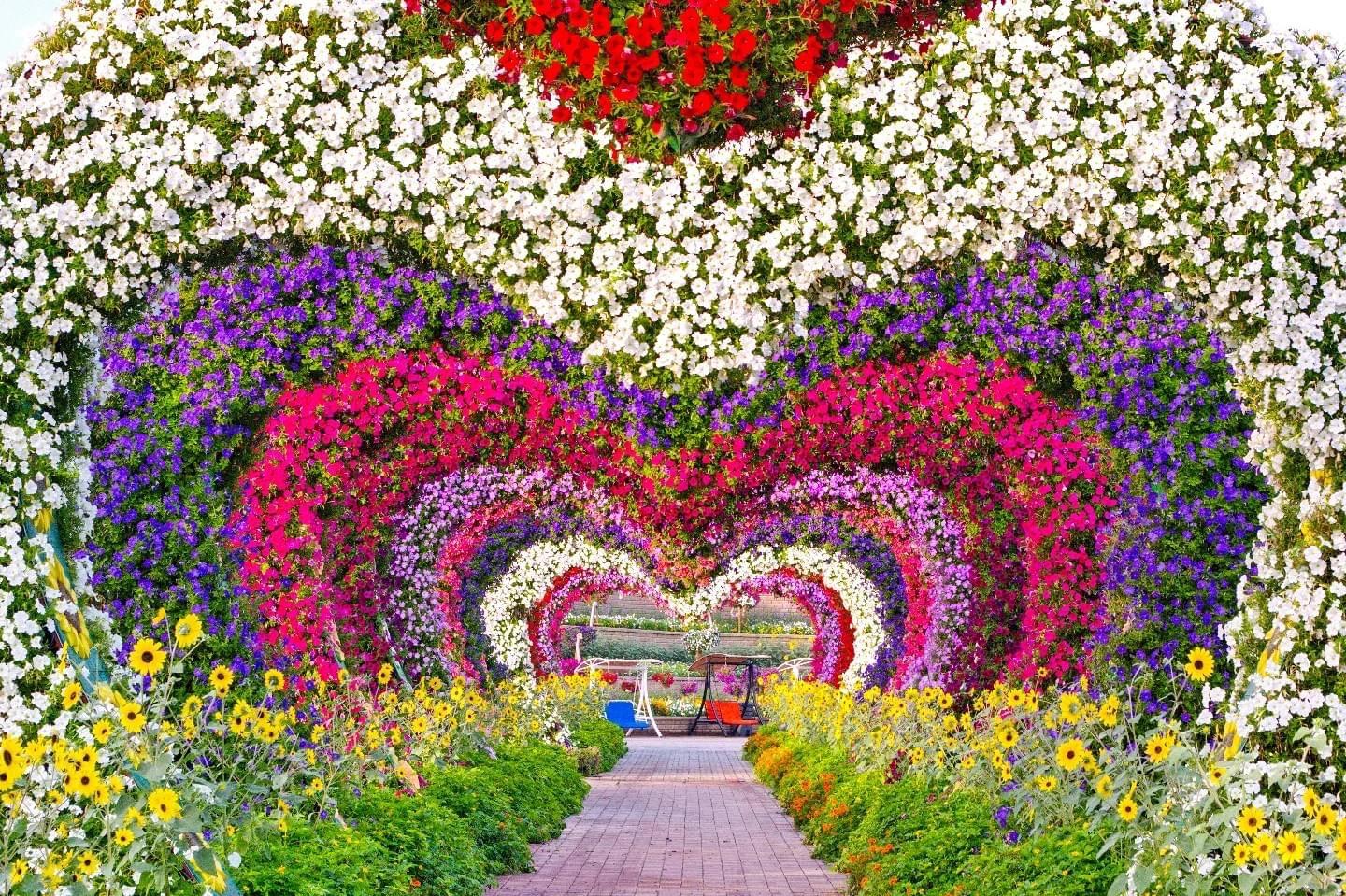 Miracle Garden & Global Village Tour – Choose Your Option – Dubai, United Arab Emirates