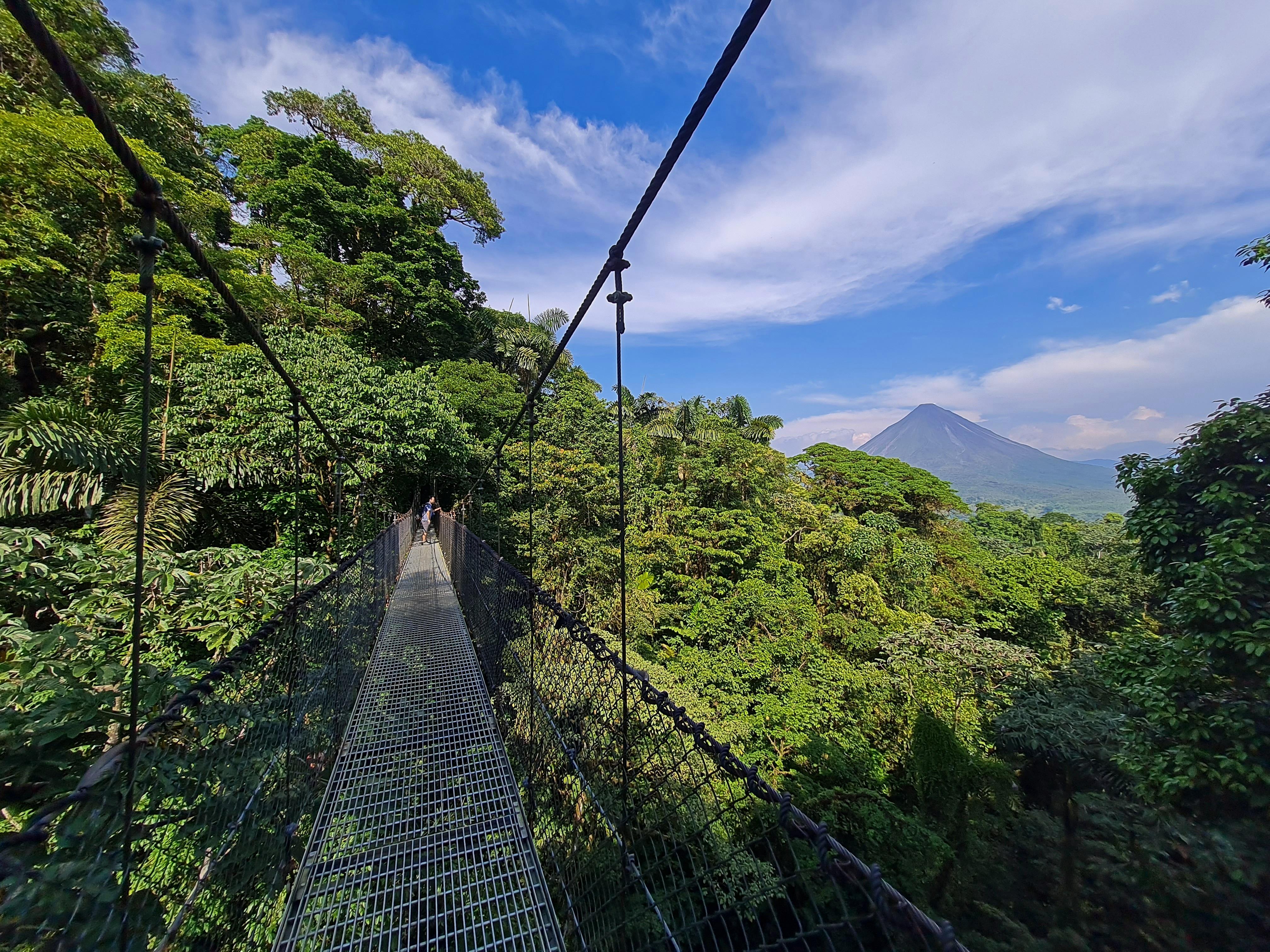 Mistico Hanging Bridges + Transportation + Naturalist Guide – Mistico Arenal Hanging Bridges Park, Costa Rica