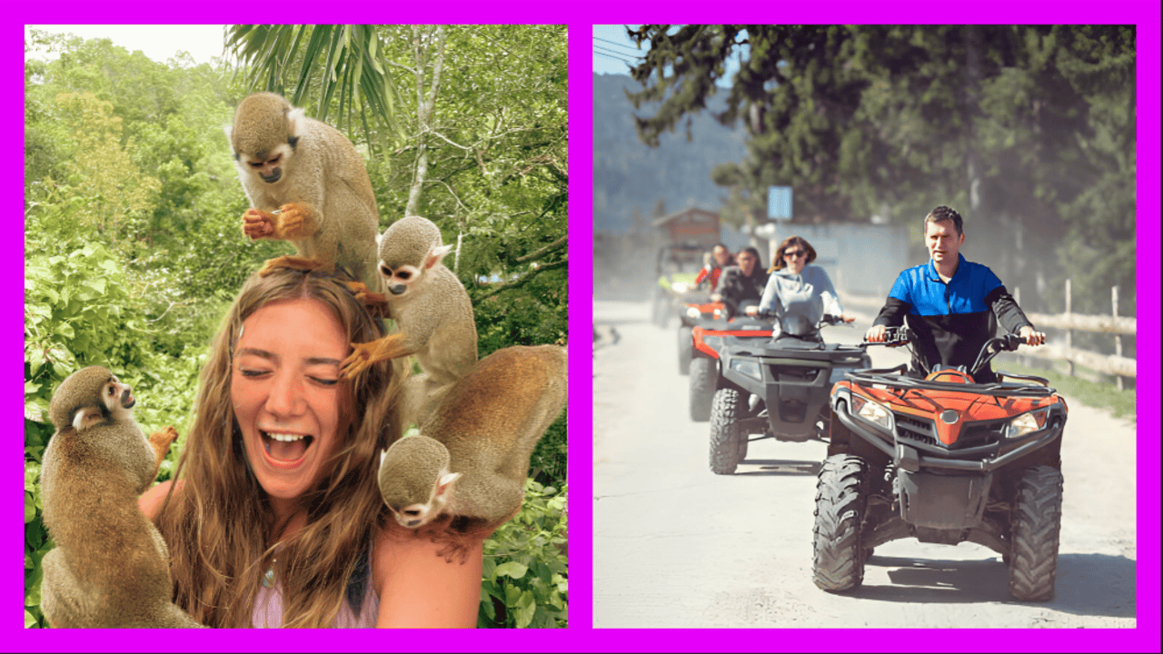Monkey Encounter + ATV Riding Adventure – Puerto Plata – Puerto Plata, Dominican Republic
