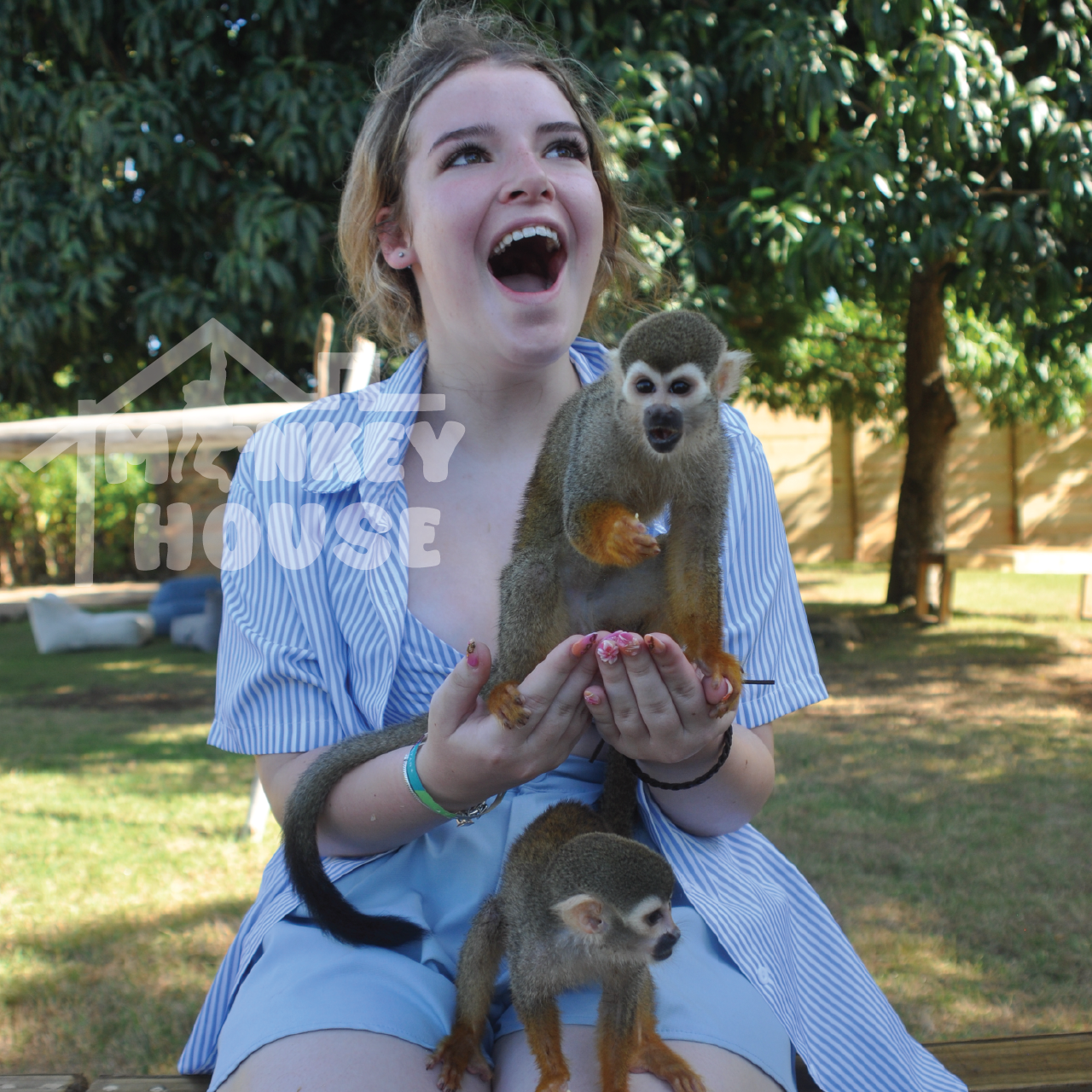 Monkey House VIP – An exclusive experience in Punta Cana – Punta Cana, Dominican Republic